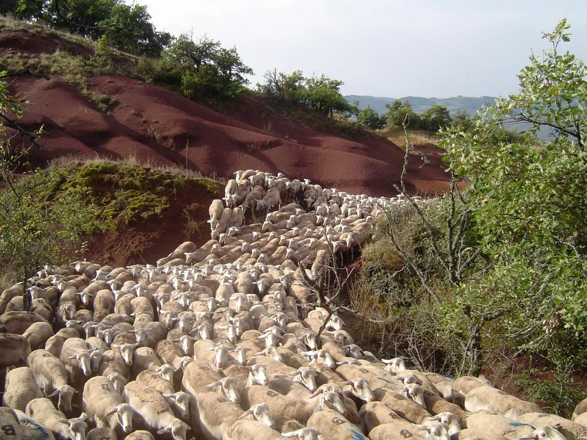 Activities in Le Hameau des Genets