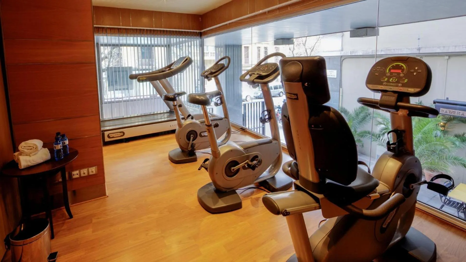 Activities in Evenia Rossello