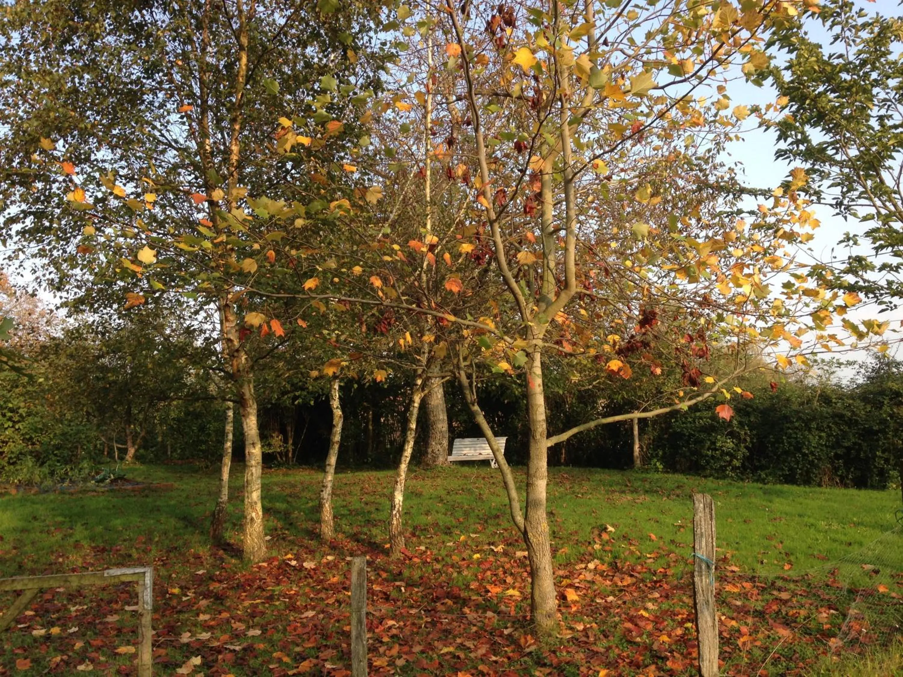 Garden in Marguerite's Ferme rustique