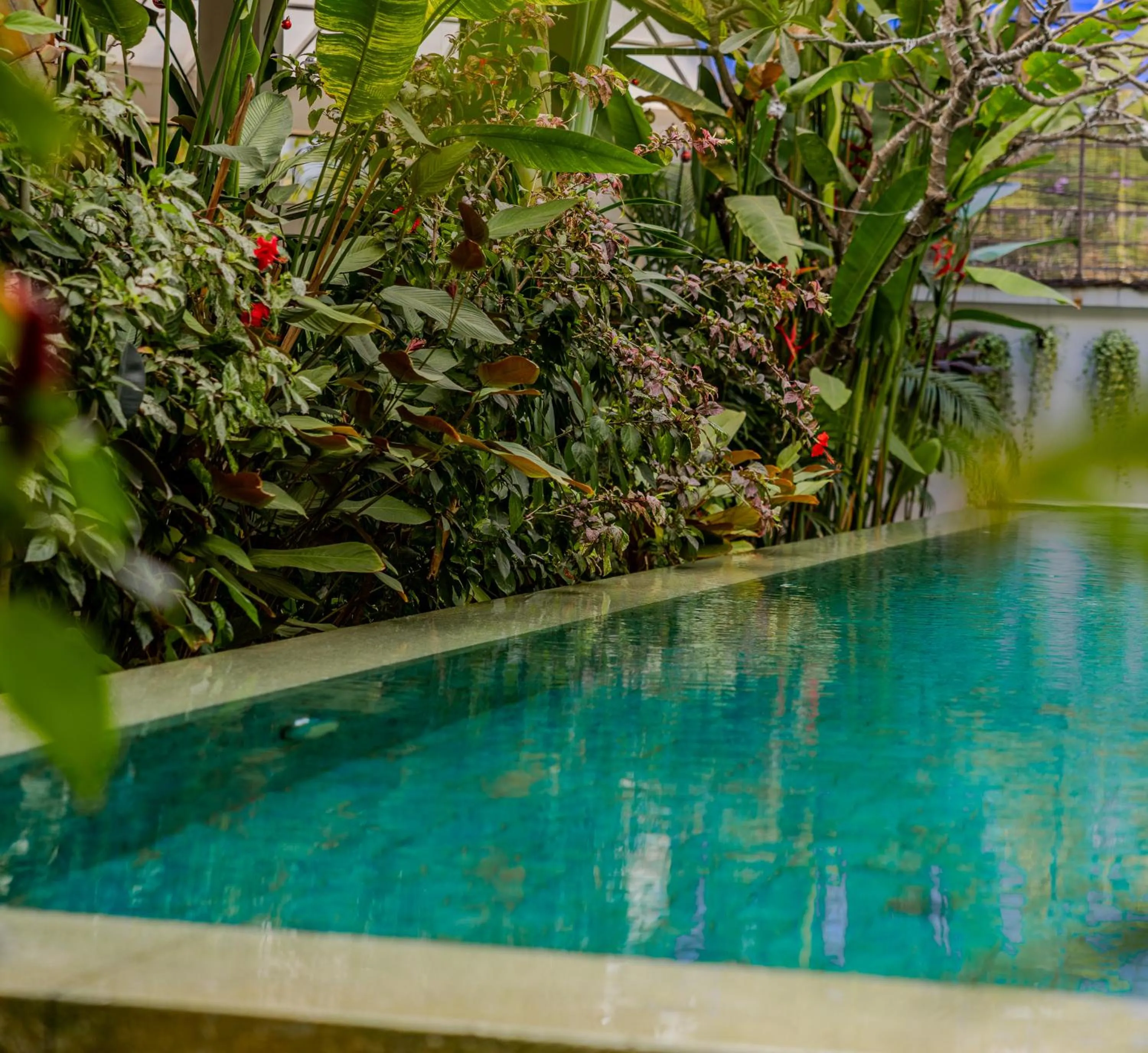 Swimming pool in Khmer House Boutique