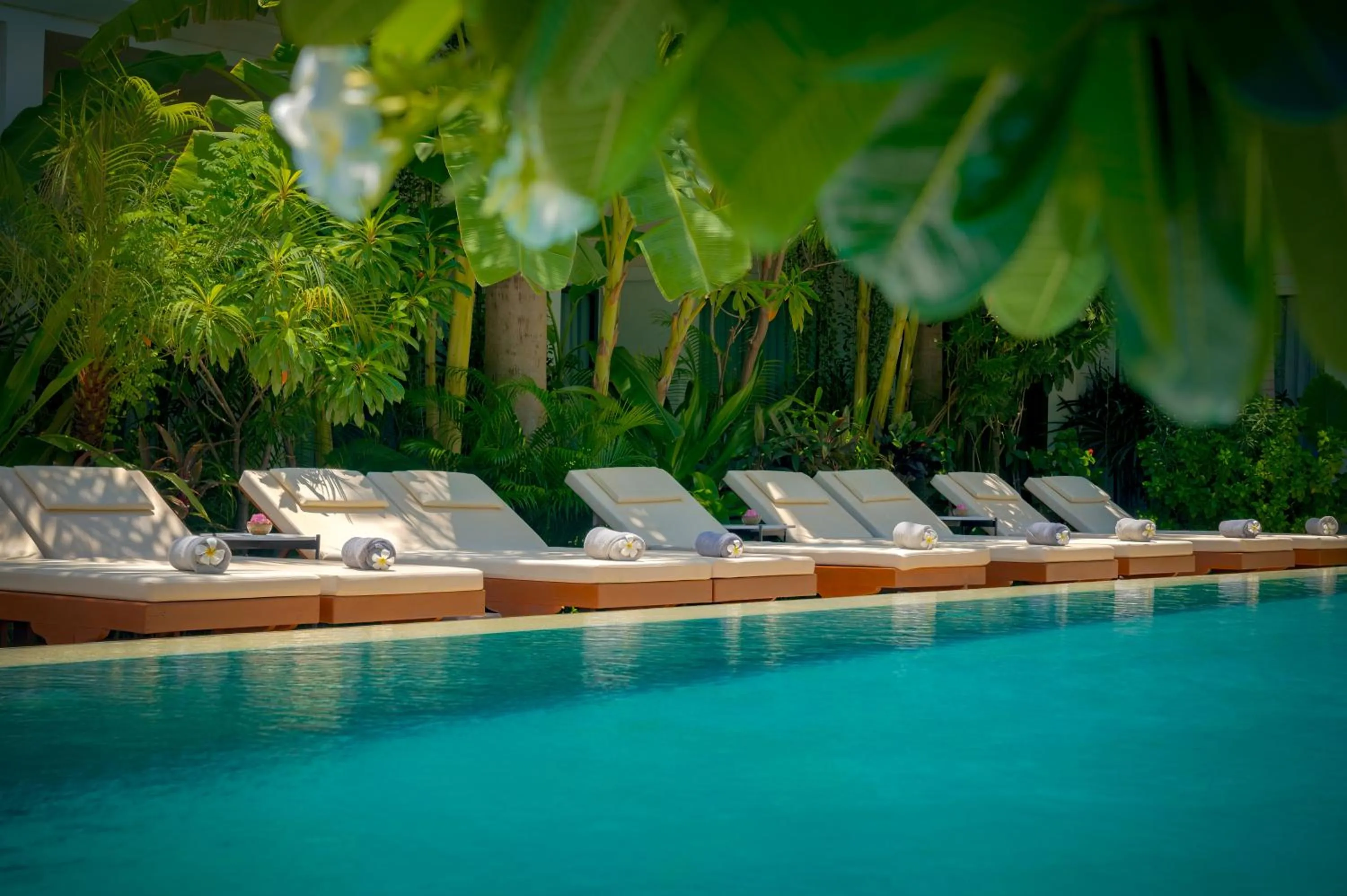 Garden in Khmer House Boutique