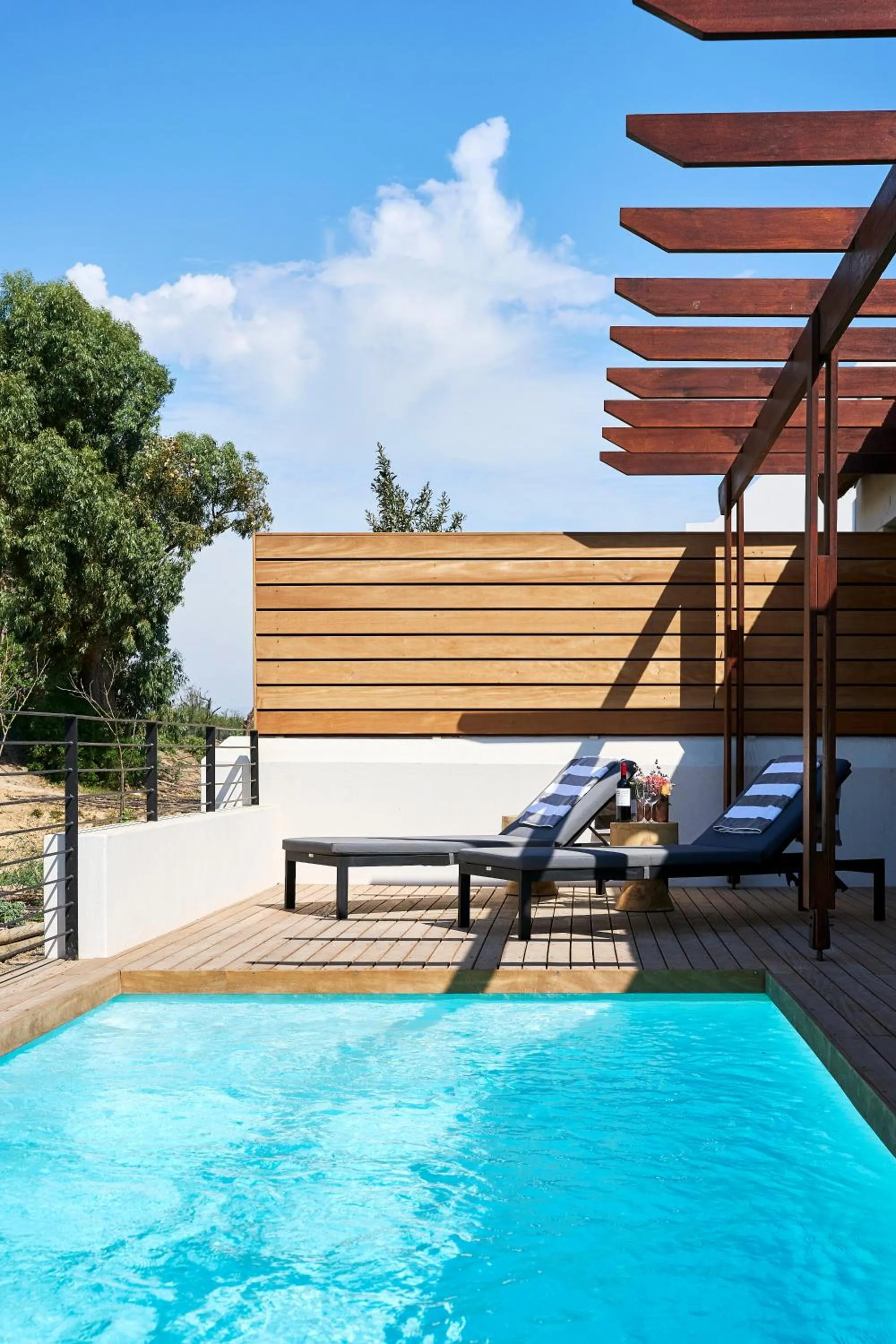 Patio in Vergenoegd Löw Boutique Hotel & Spa