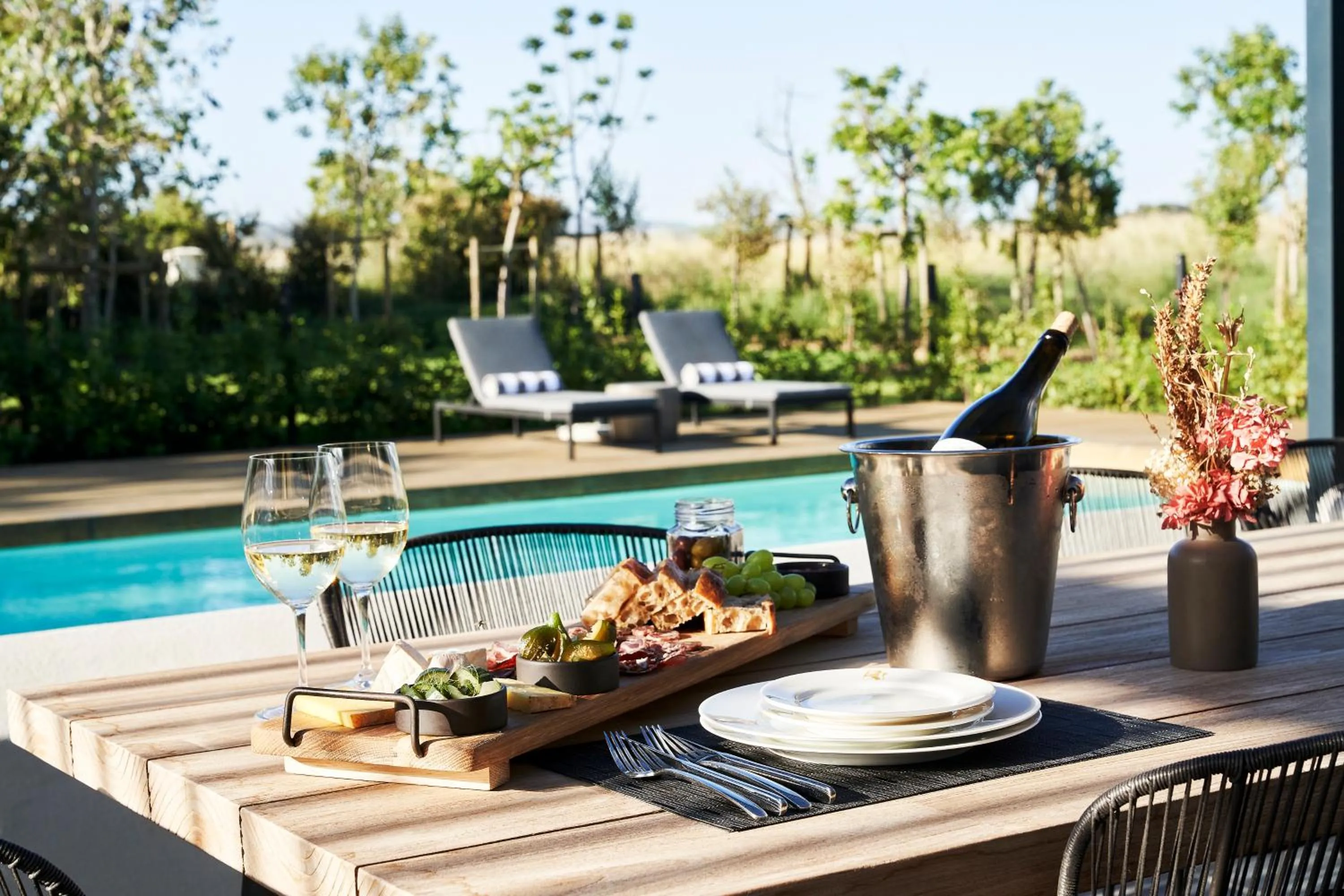 Pool view in Vergenoegd Löw Boutique Hotel & Spa