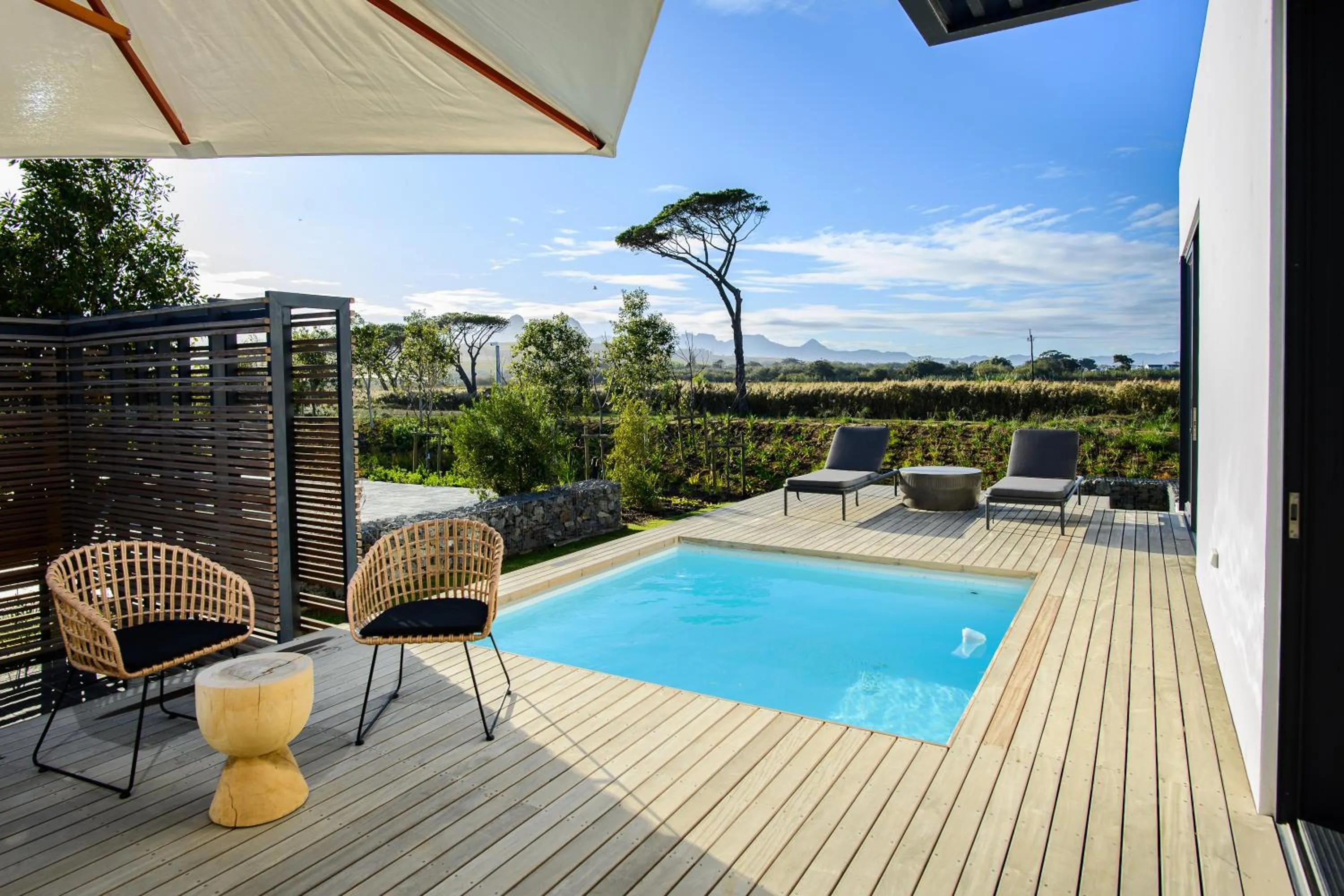 Pool view in Vergenoegd Löw Boutique Hotel & Spa