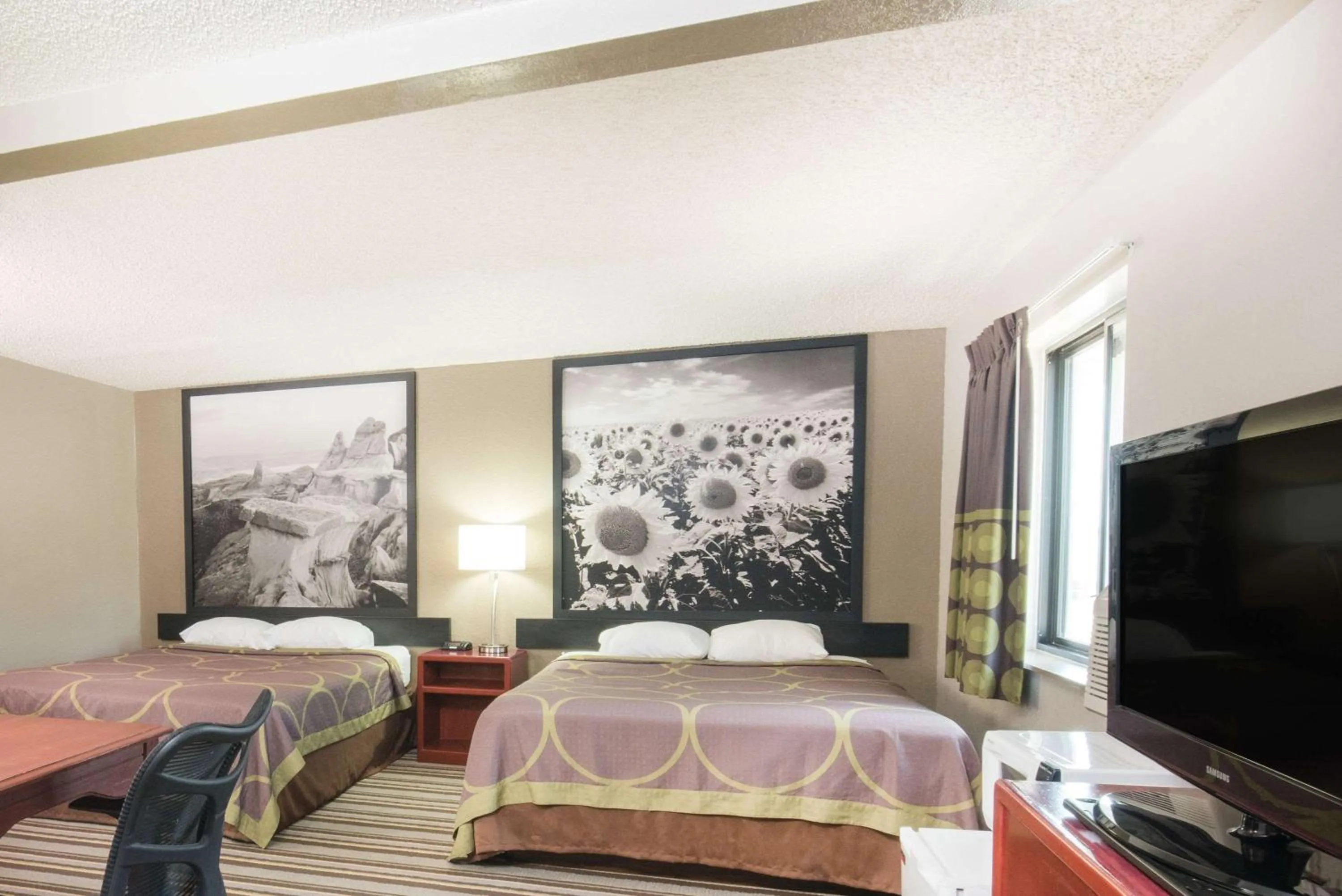 Photo of the whole room, Bed in Super 8 by Wyndham Jamestown