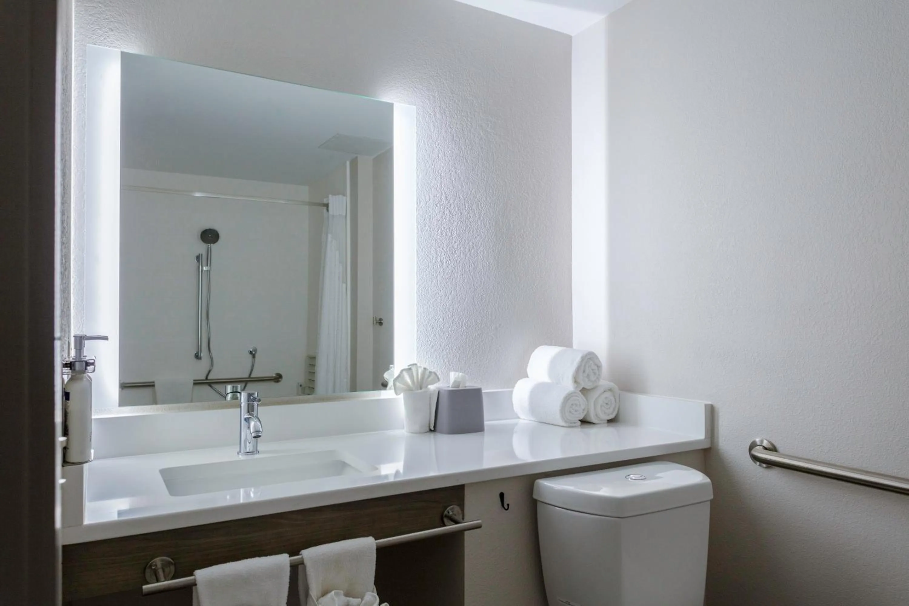 Bathroom in Holiday Inn Express - Rocky Mount - Sports Center by IHG