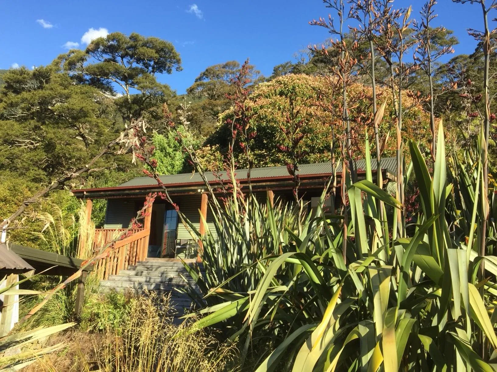 Property building in Mountainview Makarora Accommodation