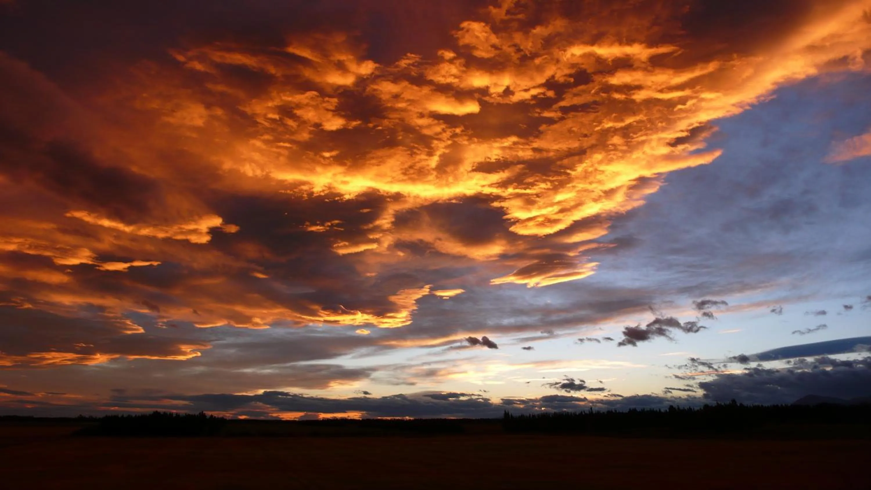 Natural landscape in Gunyah Country Estate