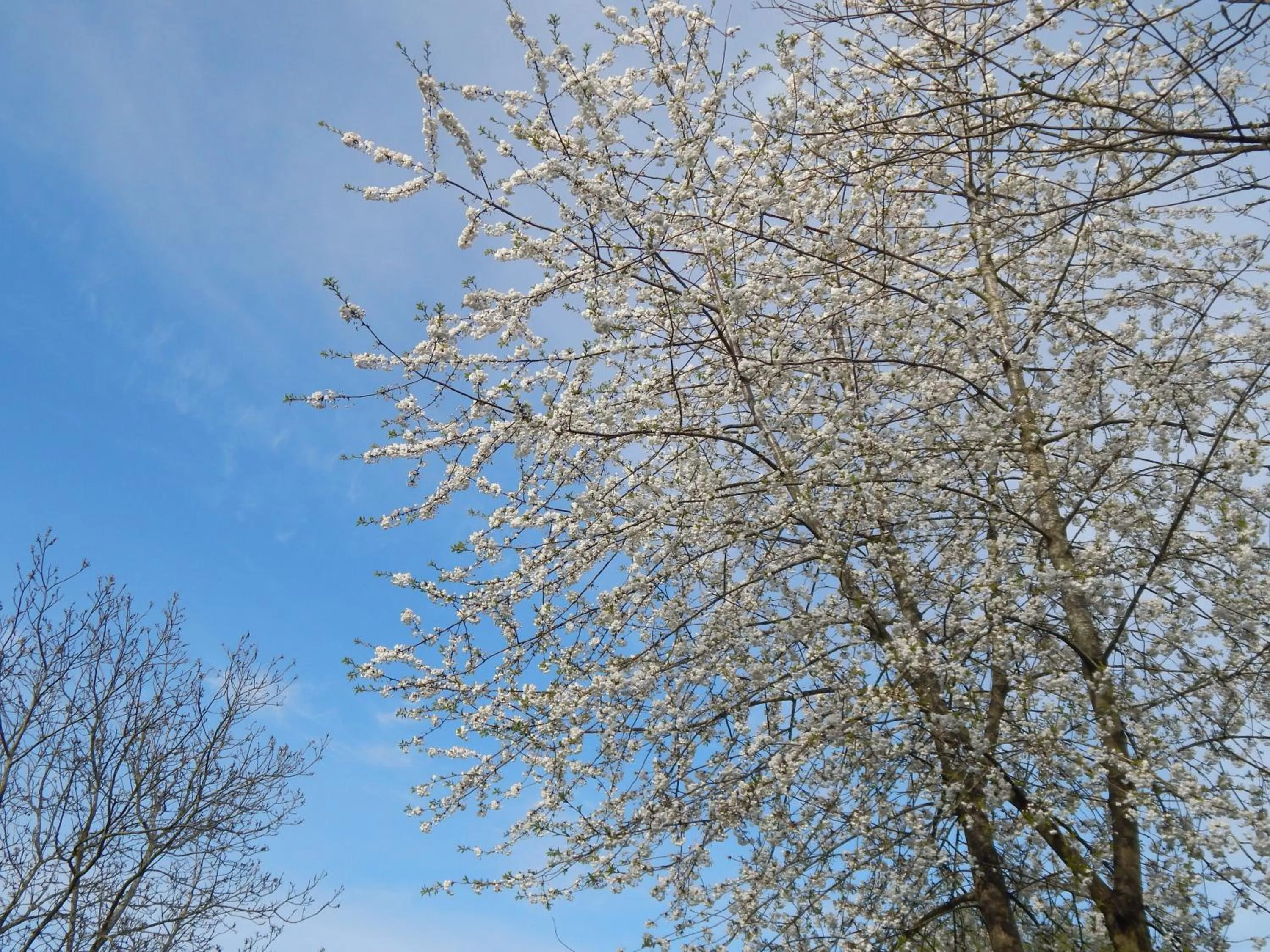 Spring in Modern, well located en-suite rooms with parking & all facilities