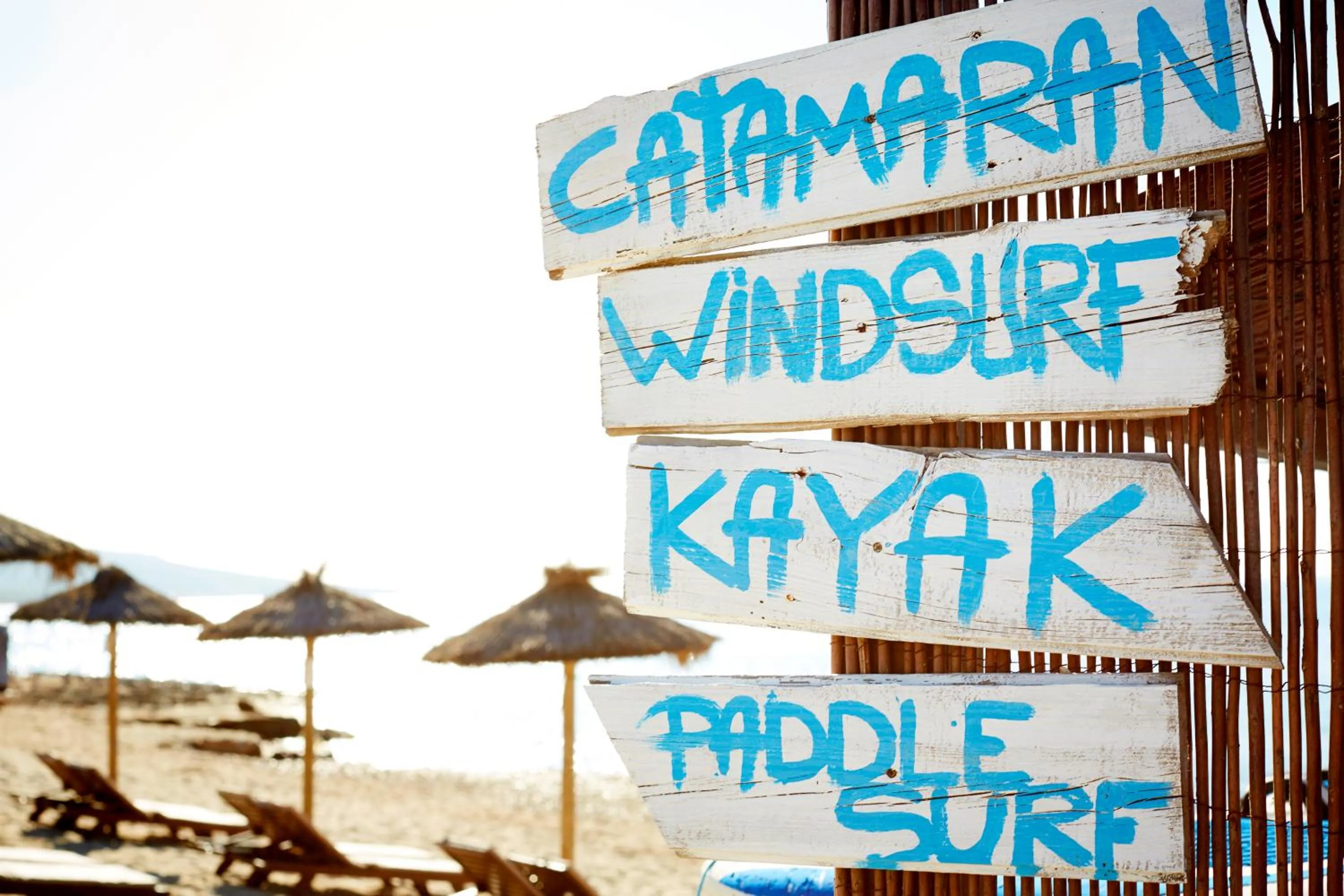 Natural landscape in Insotel Hotel Formentera Playa