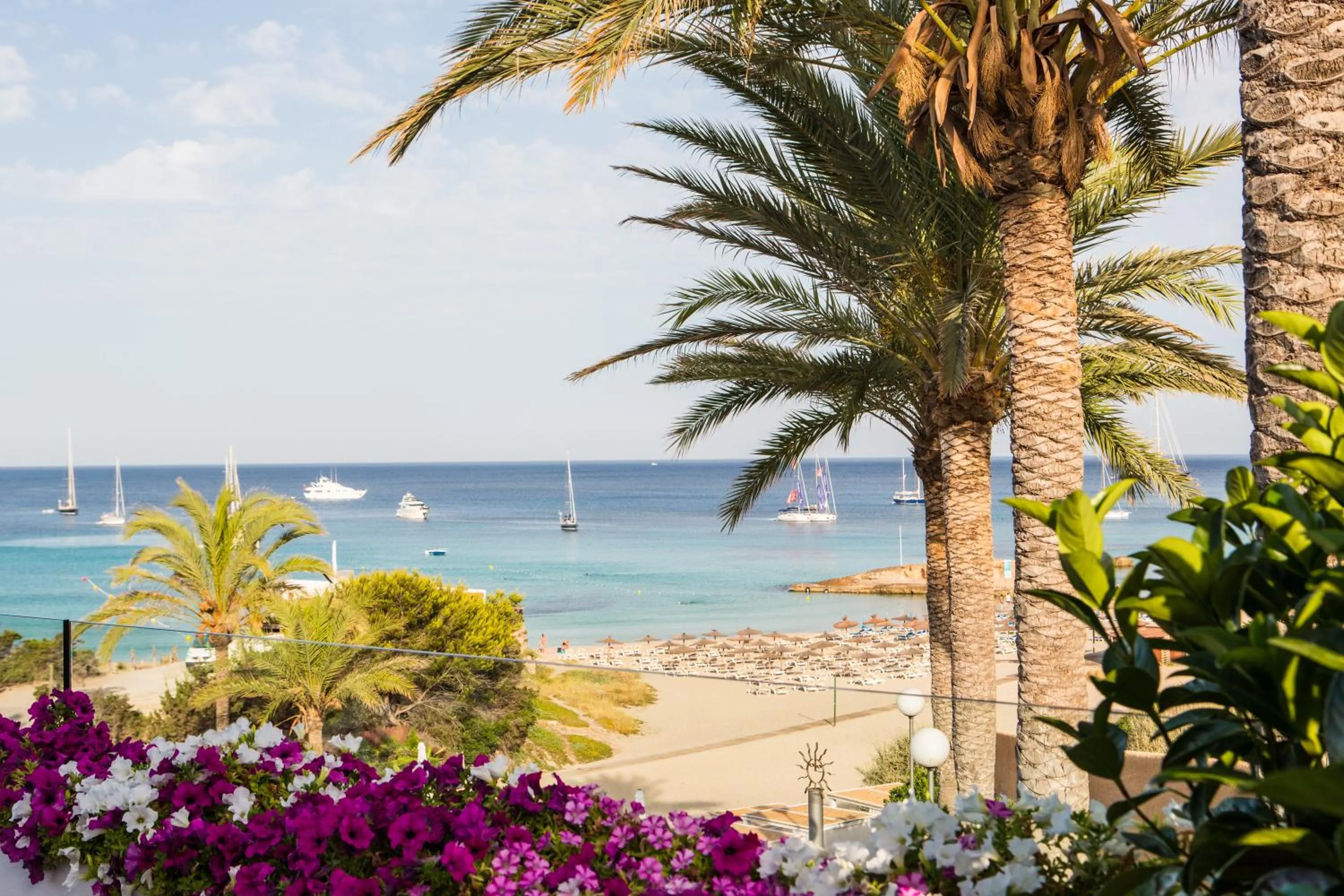 Sea view in Insotel Tarida Beach Resort & SPA