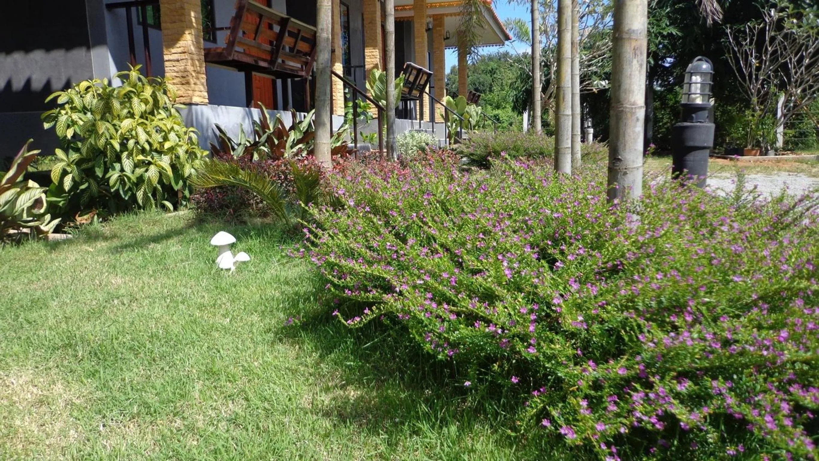 Garden in Chiang Rai Khuakrae Resort