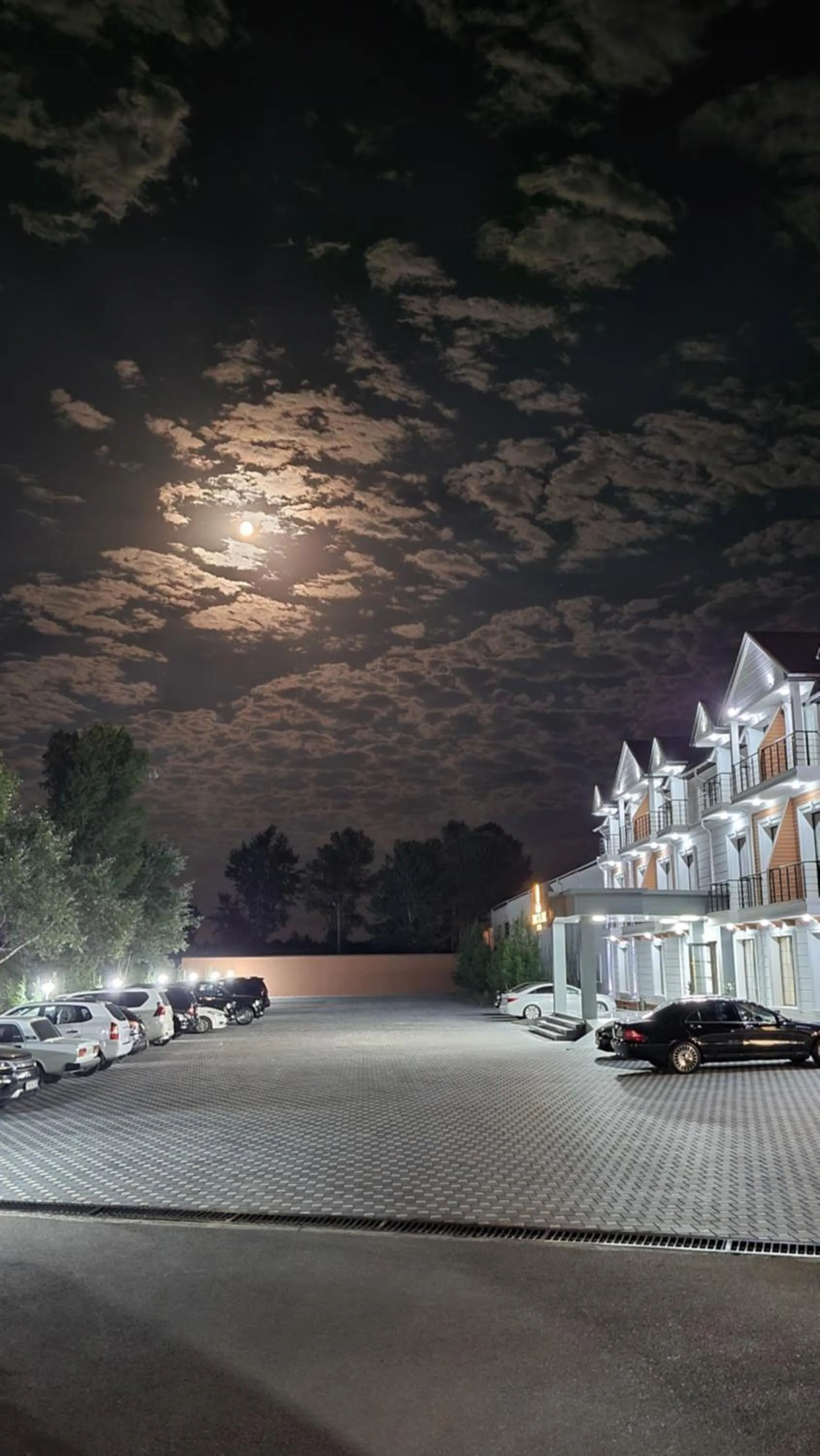 Night in Castle Resort Spa Hotel