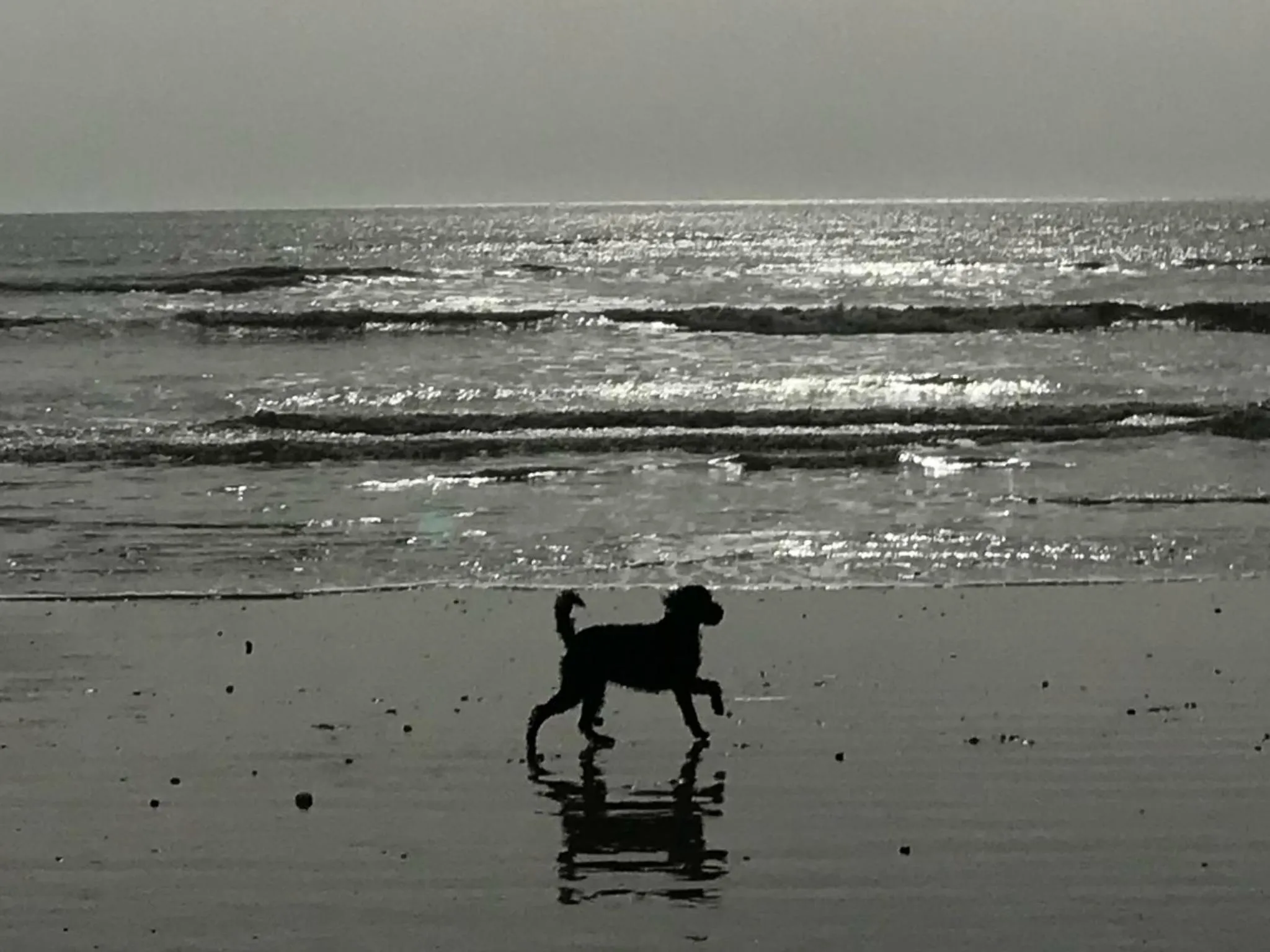 Beach in Pebble Cottage