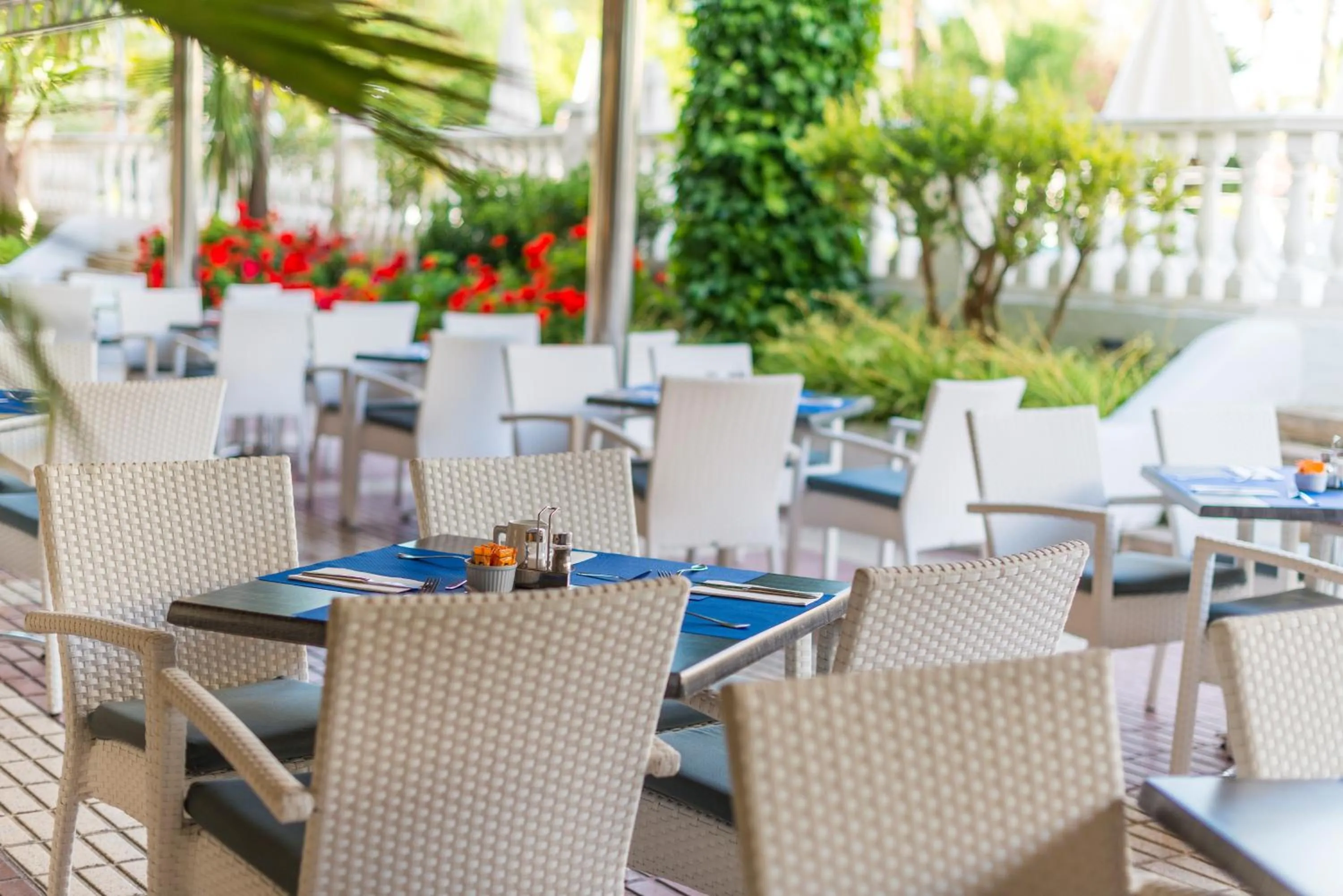 Lounge or bar in Apartamentos Siesta I