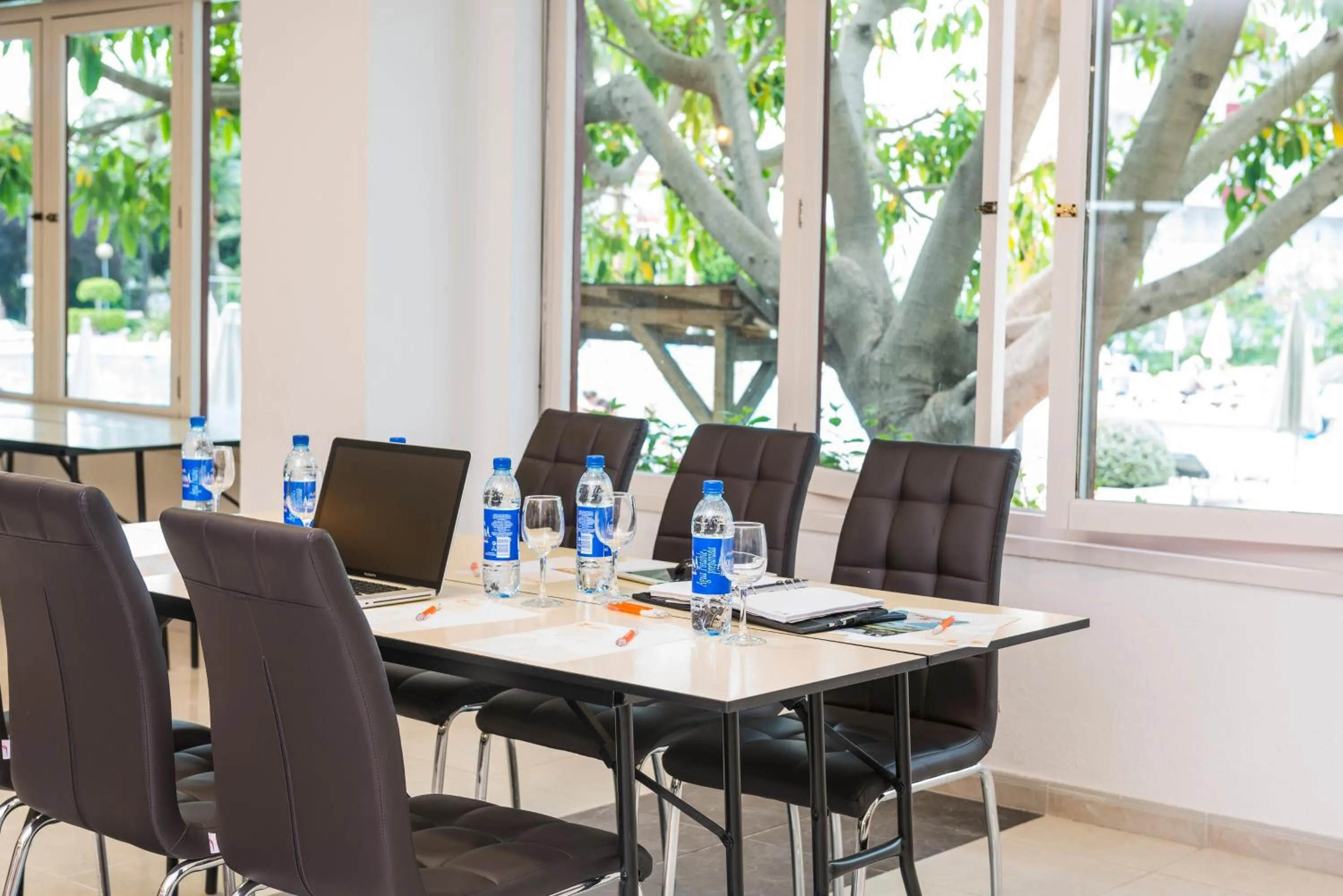 Business facilities in Apartamentos Siesta I