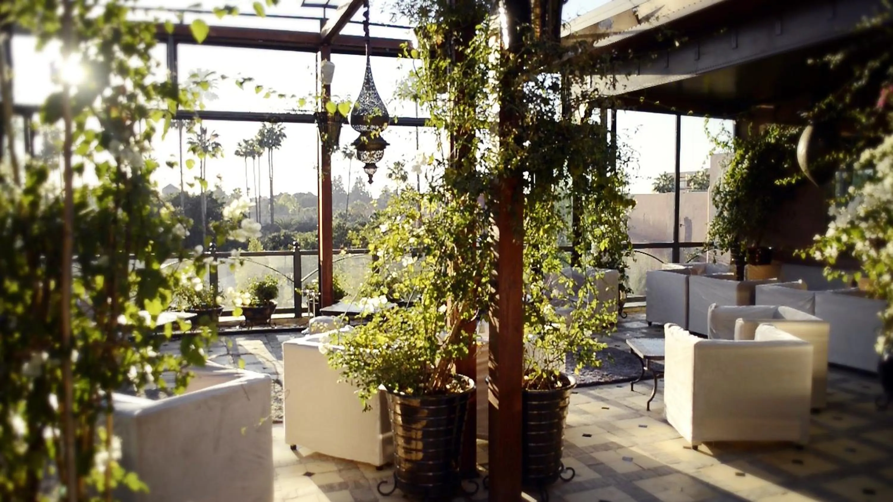 Balcony/Terrace in Riad Wow