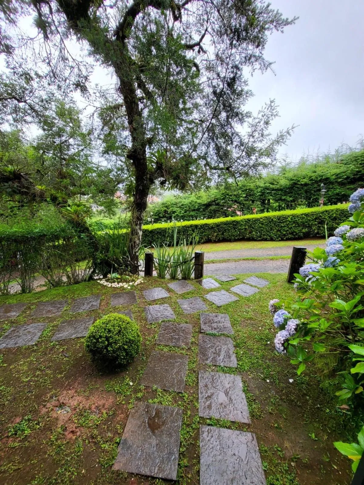 Spring in Pousada Atalaia