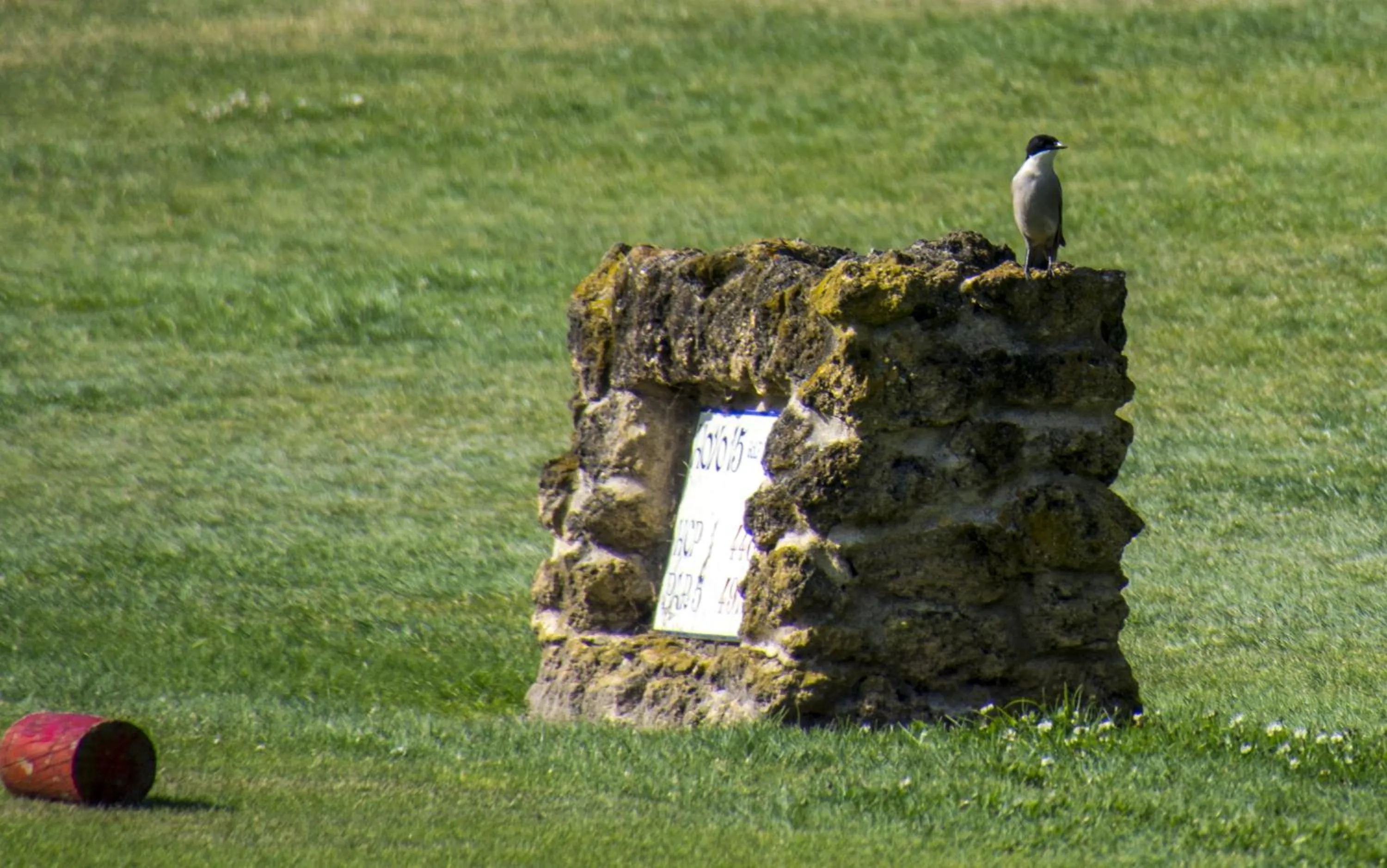 Golfcourse in Hotel Nuevo Portil Golf