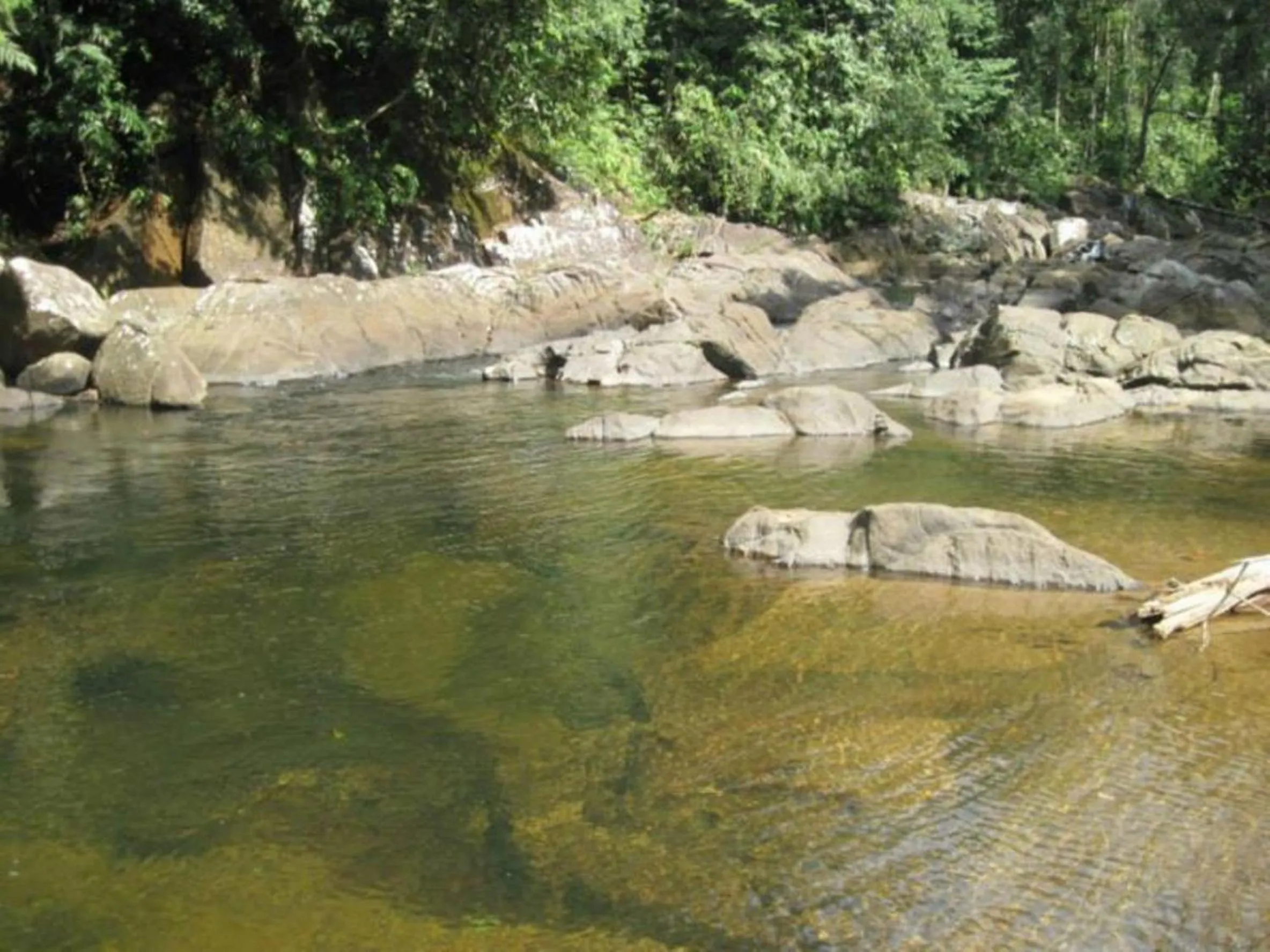 Area and facilities in Birds Paradise Hotel