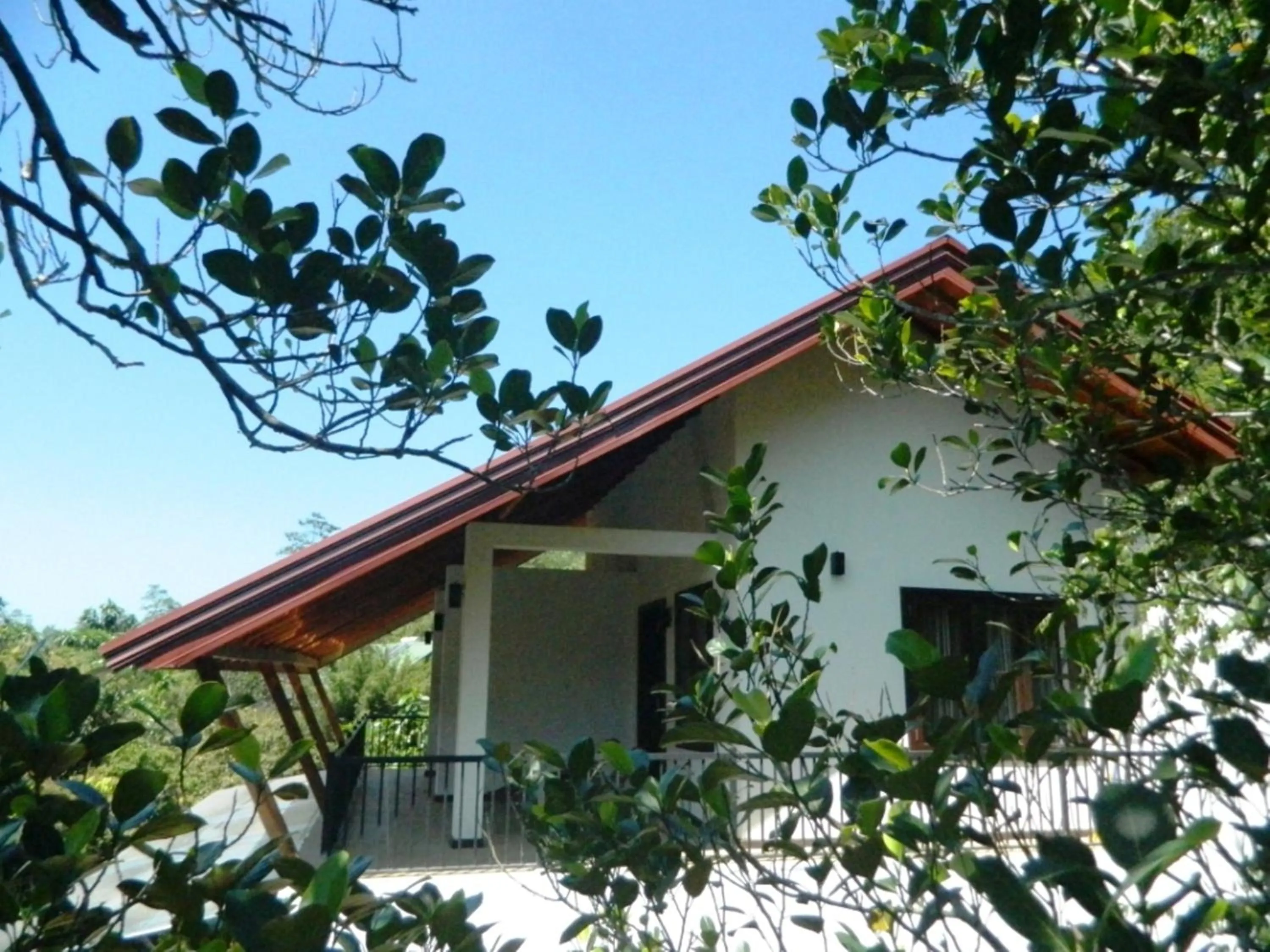 Balcony/Terrace in Birds Paradise Hotel