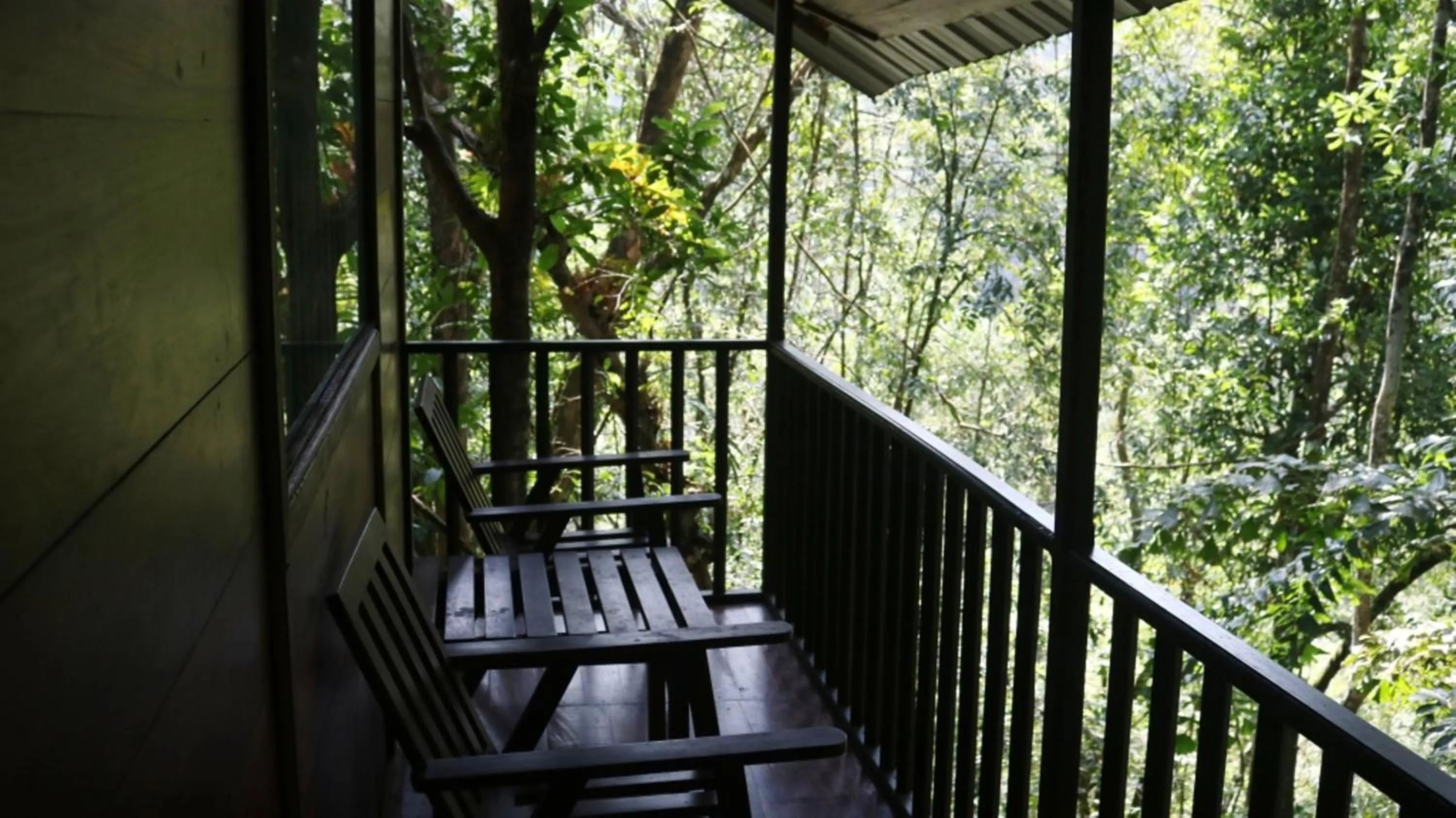 Balcony/Terrace in Birds Paradise Hotel