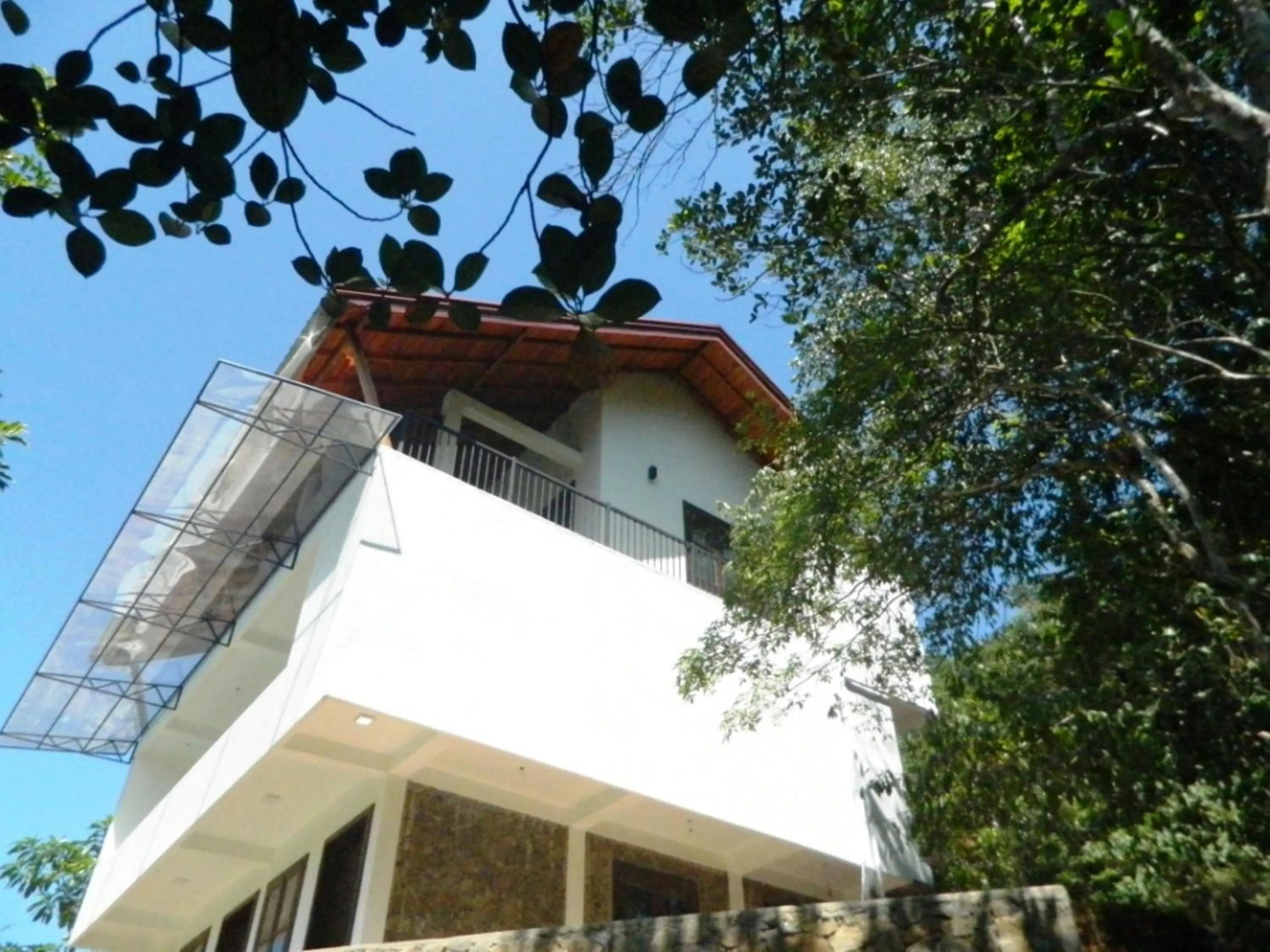 Balcony/Terrace in Birds Paradise Hotel