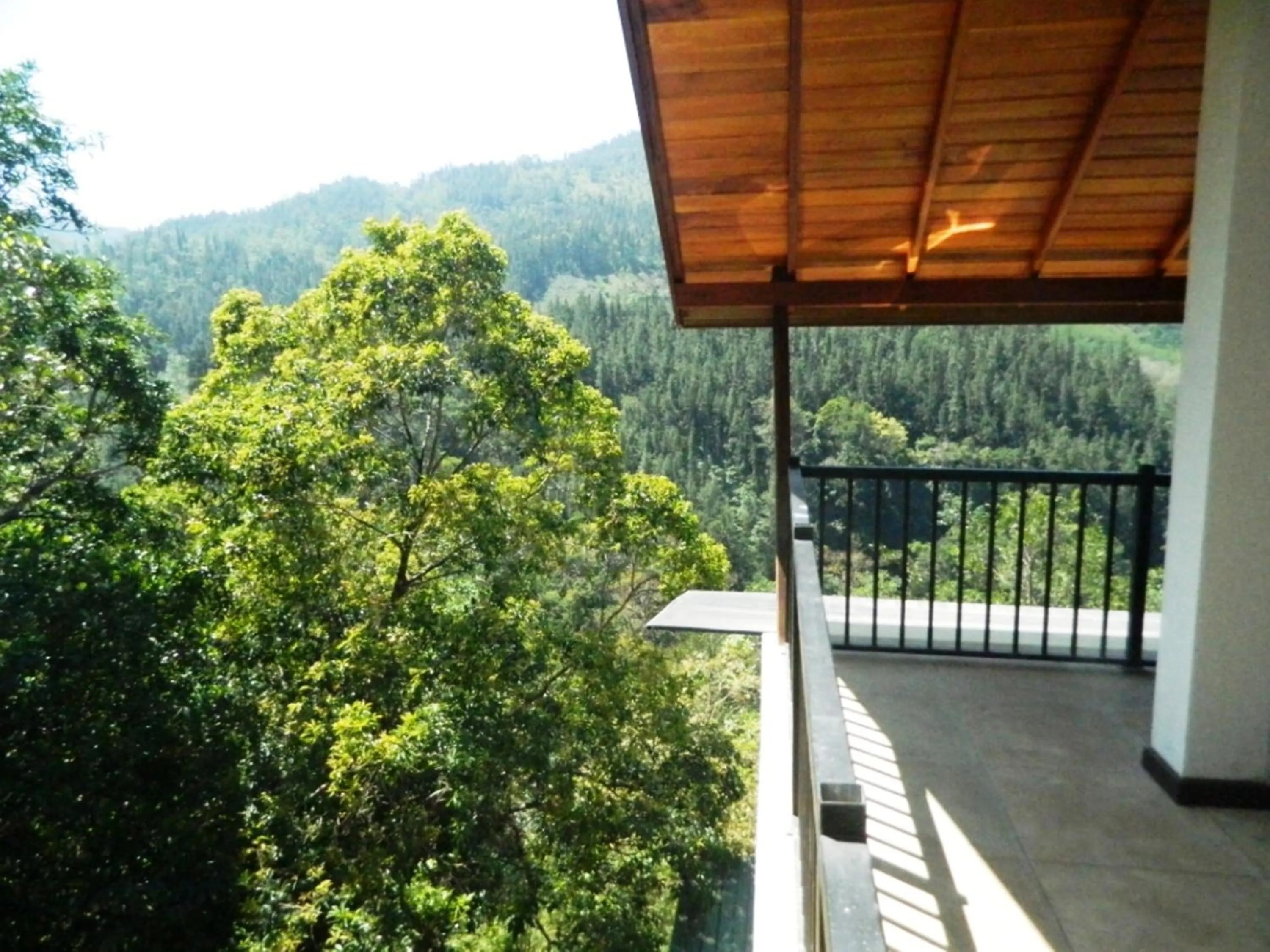 Balcony/Terrace in Birds Paradise Hotel