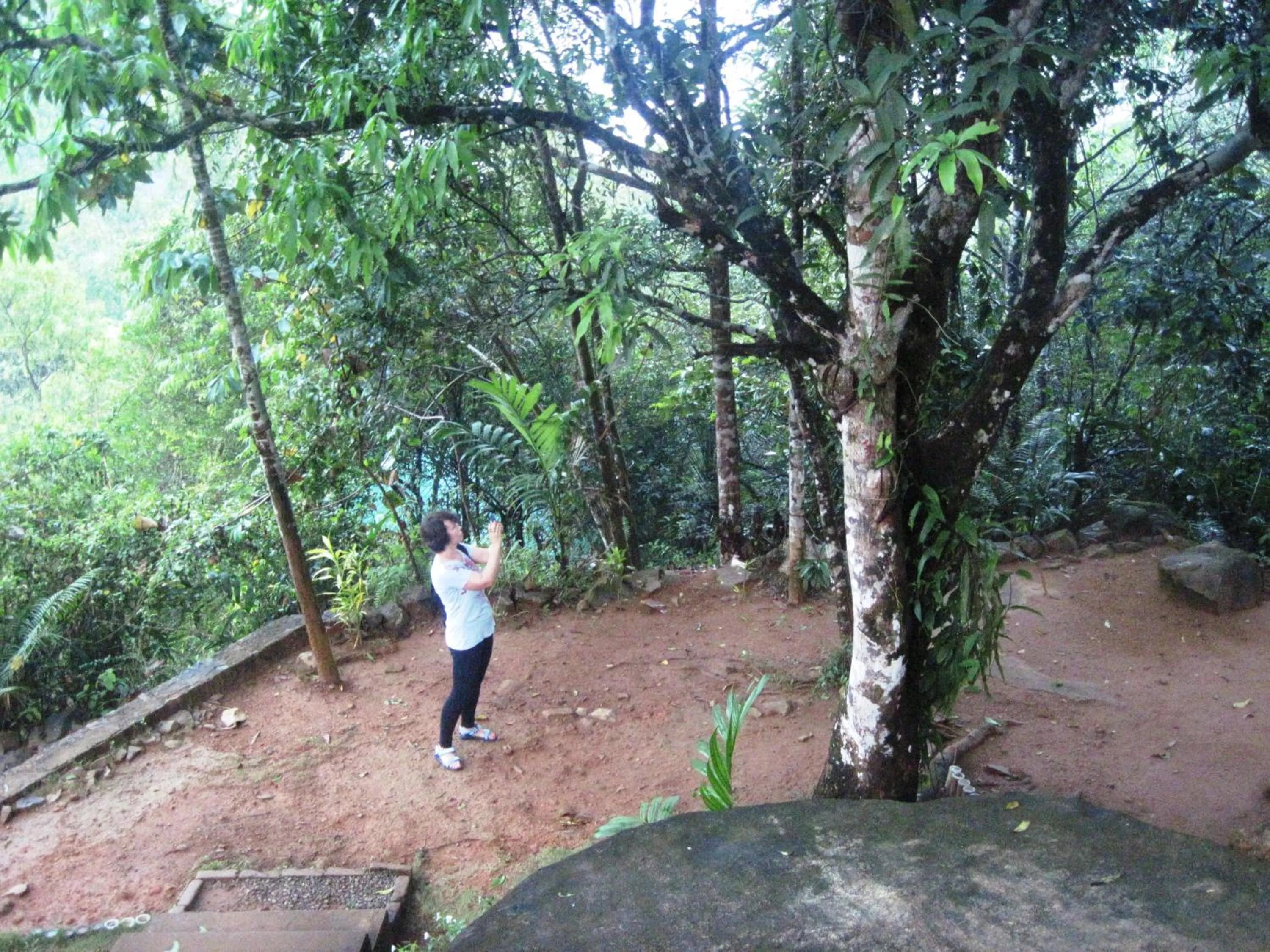 Hiking in Birds Paradise Hotel