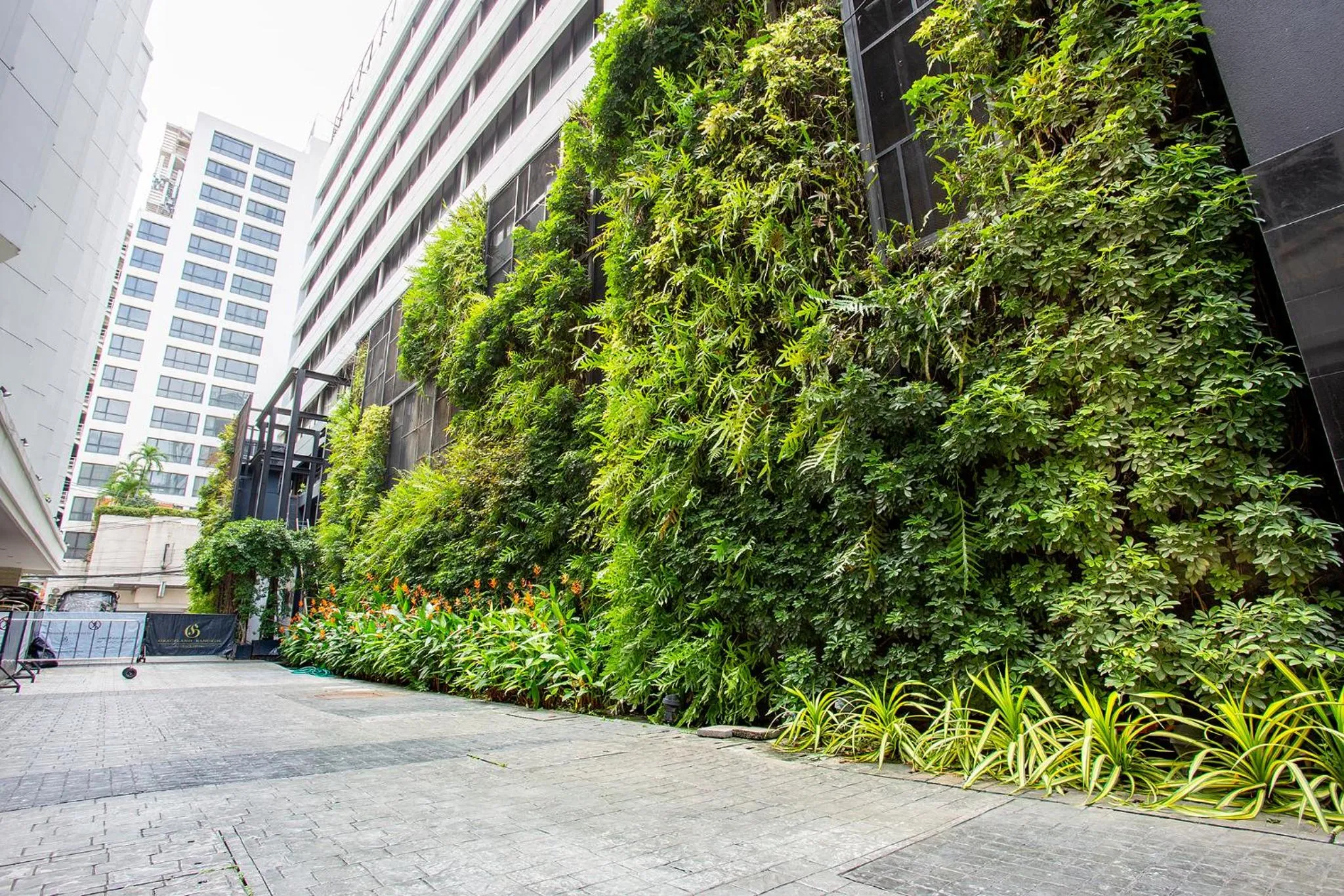 Graceland Bangkok by Grace Hotel - SHA Extra Plus