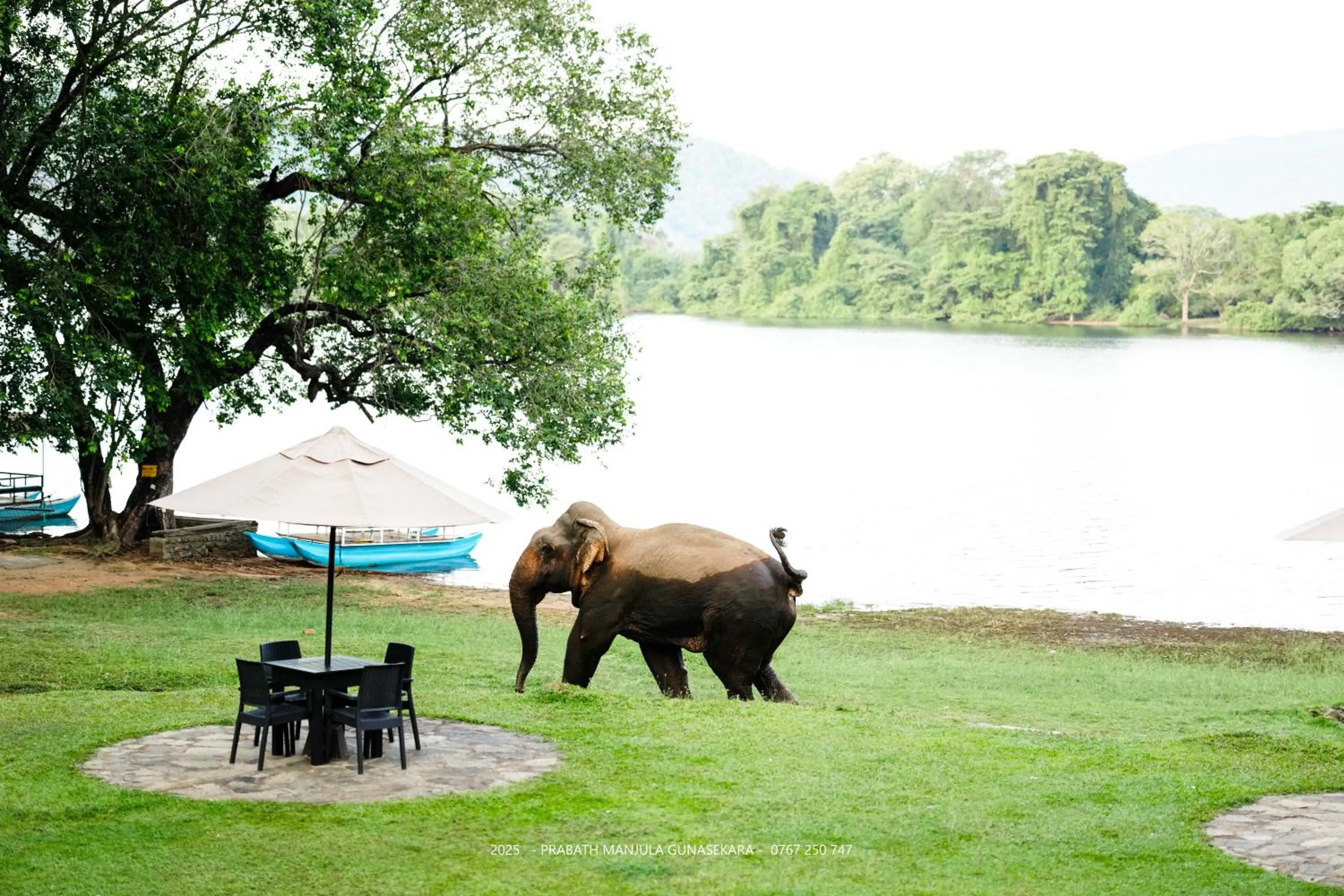 Natural landscape in Mapakada Village - Mahiyanganaya