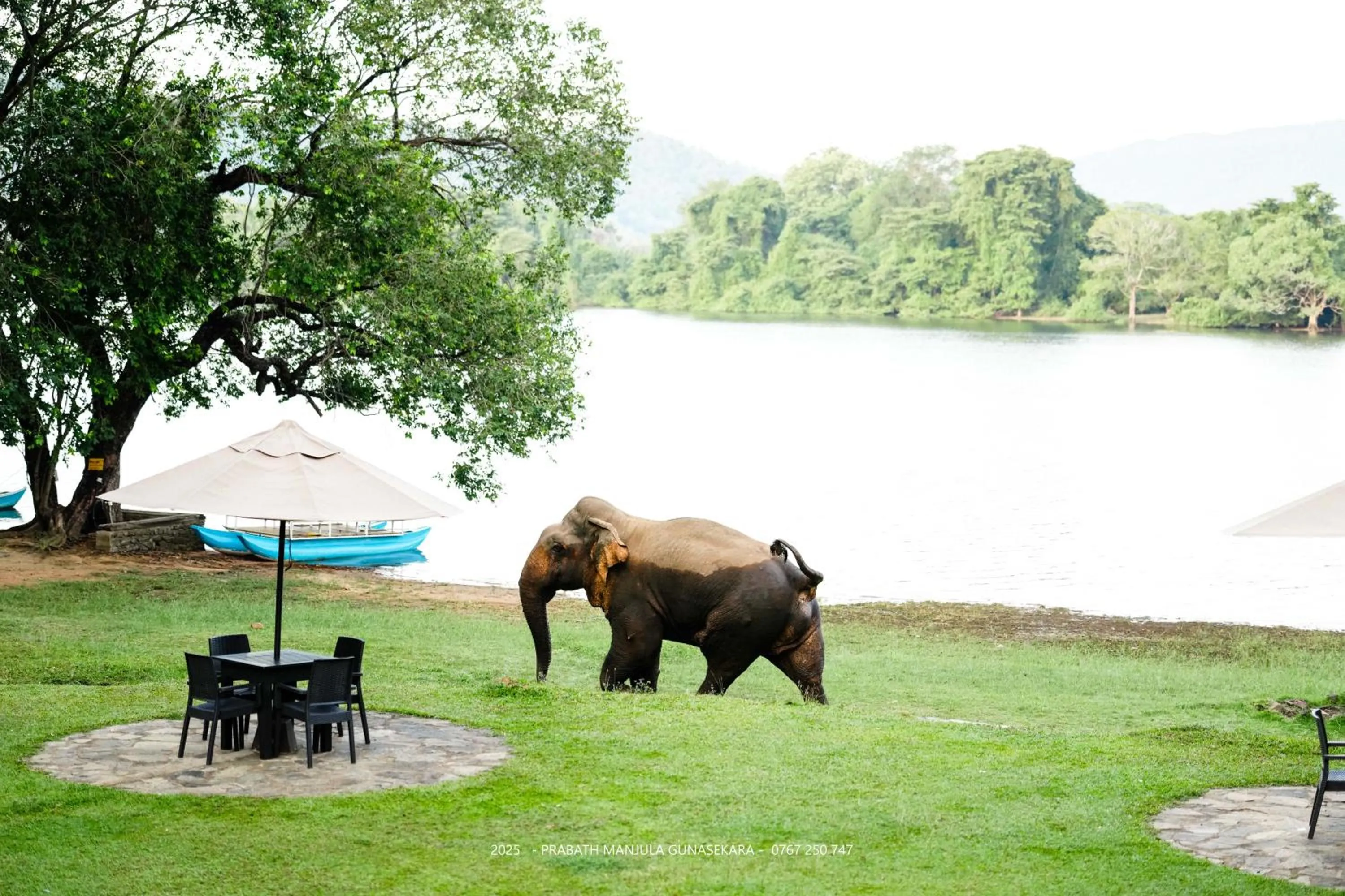 Natural landscape in Mapakada Village - Mahiyanganaya