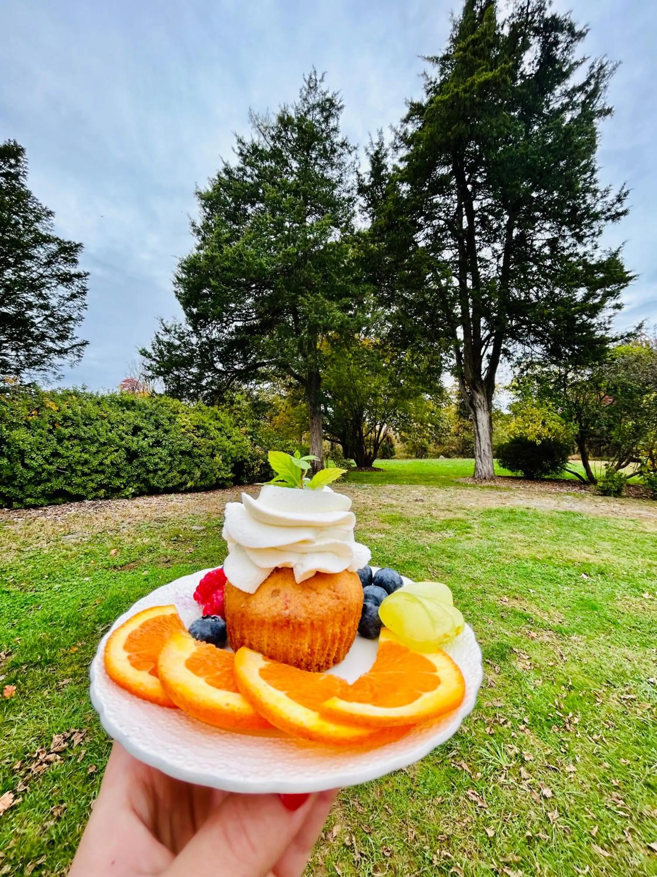 Food close-up in Chimney Hill Estate Inn