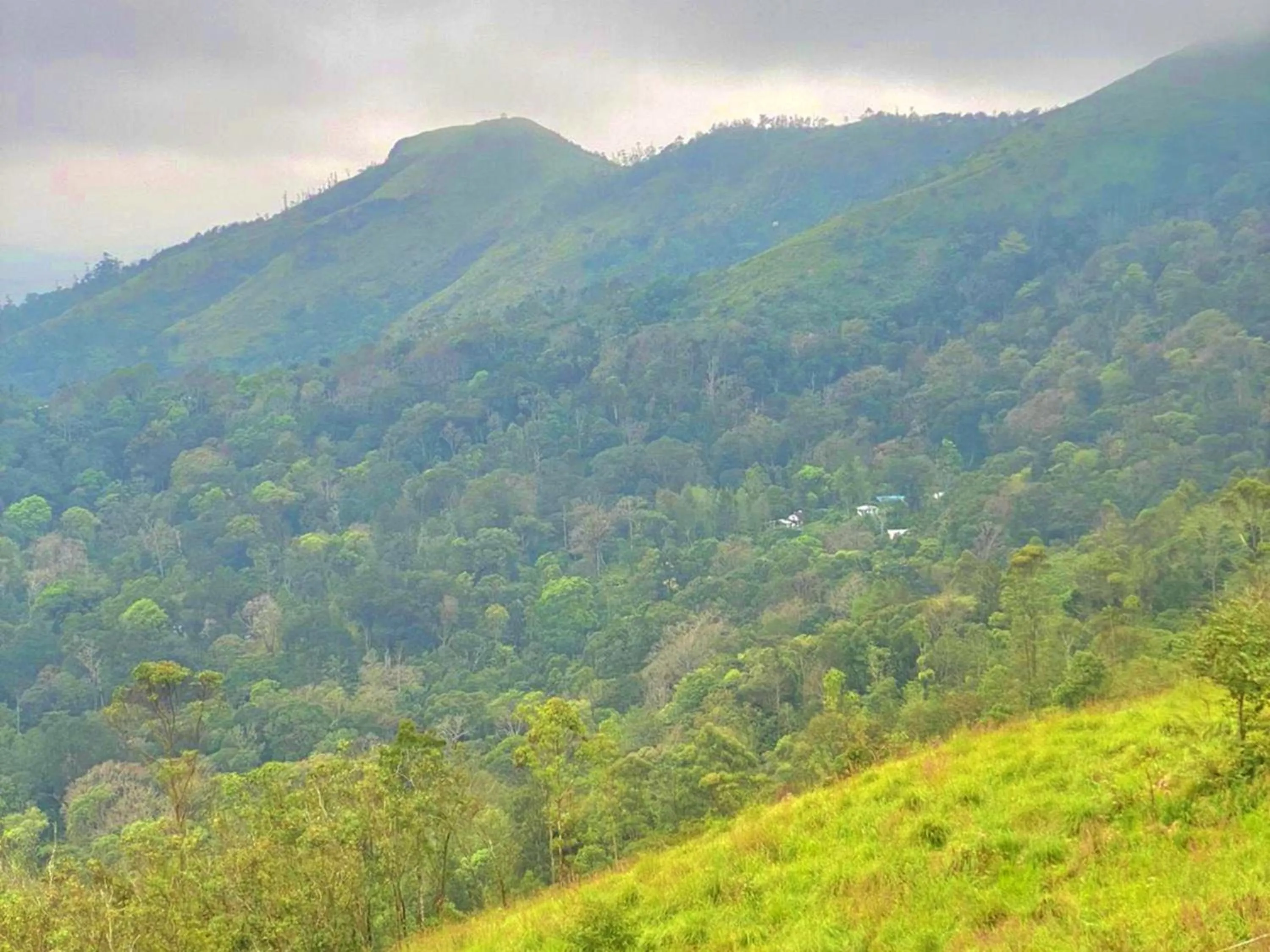 Nearby landmark in The Windy Mist Resort Munnar
