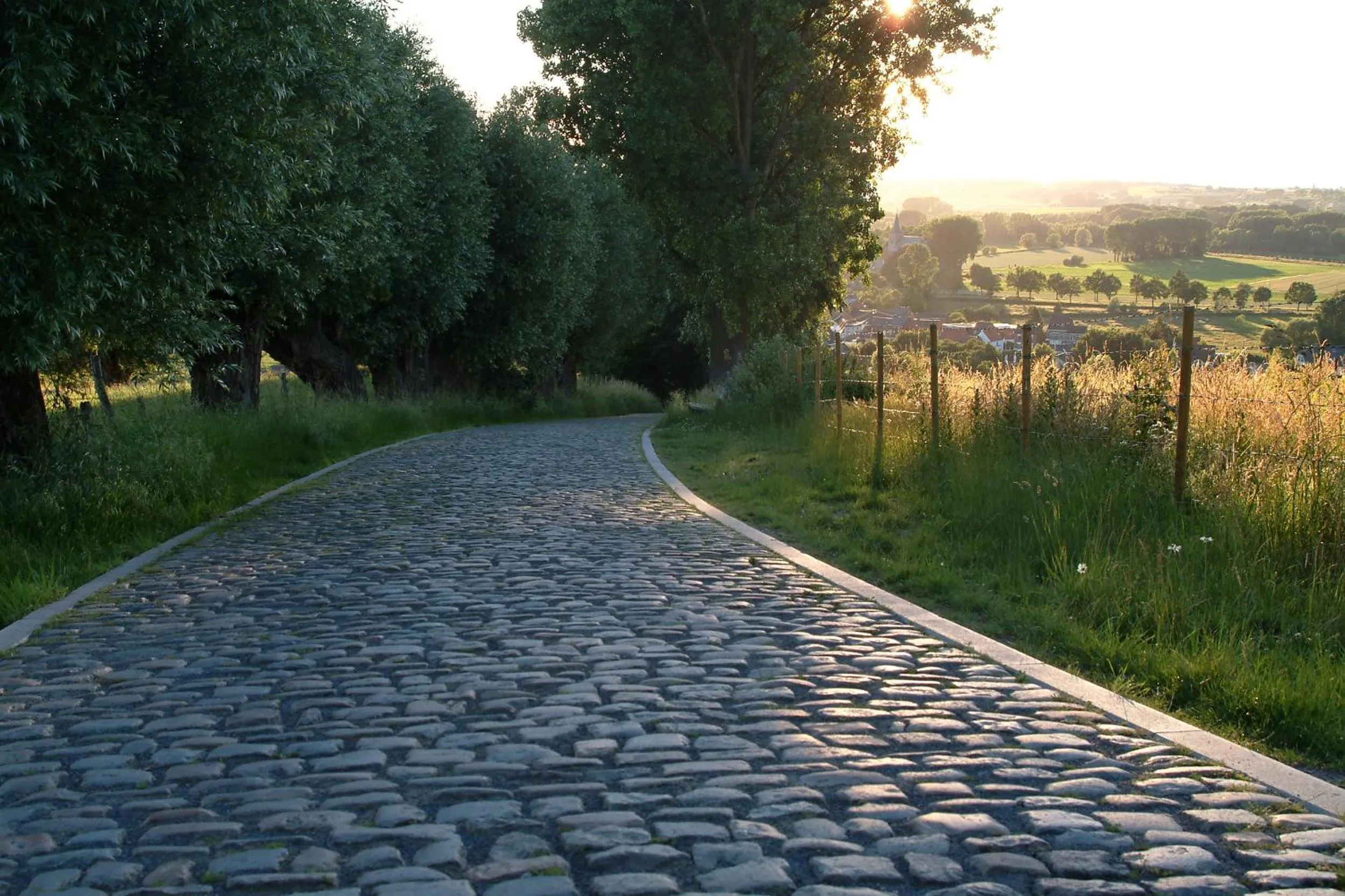 Natural landscape in Leopold Hotel Oudenaarde