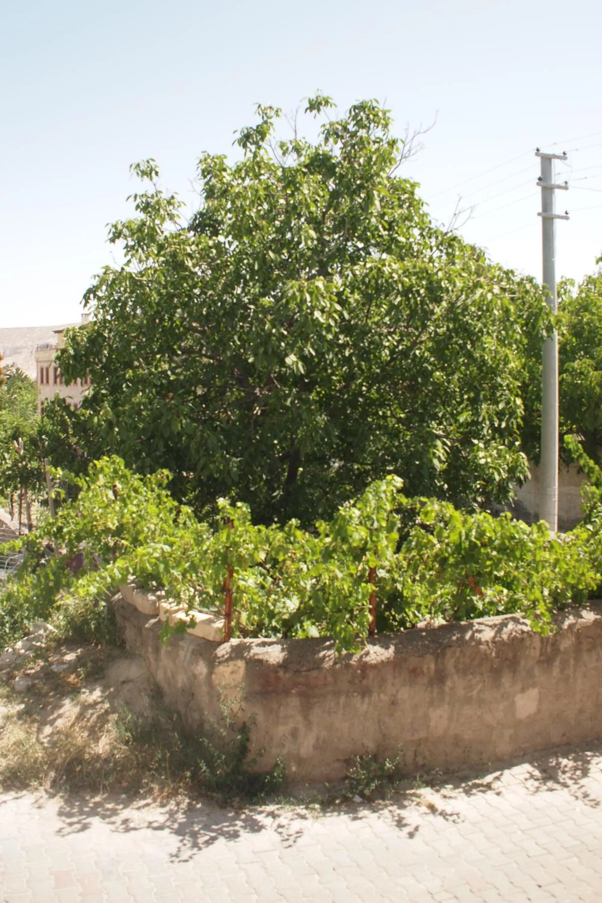 Street view in Emre's Stone House