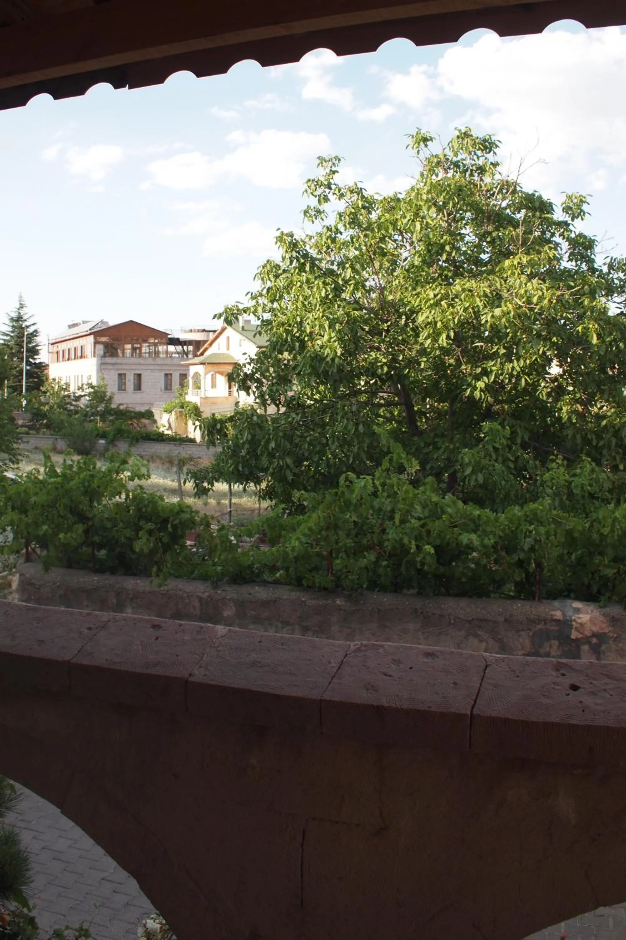 View (from property/room) in Emre's Stone House