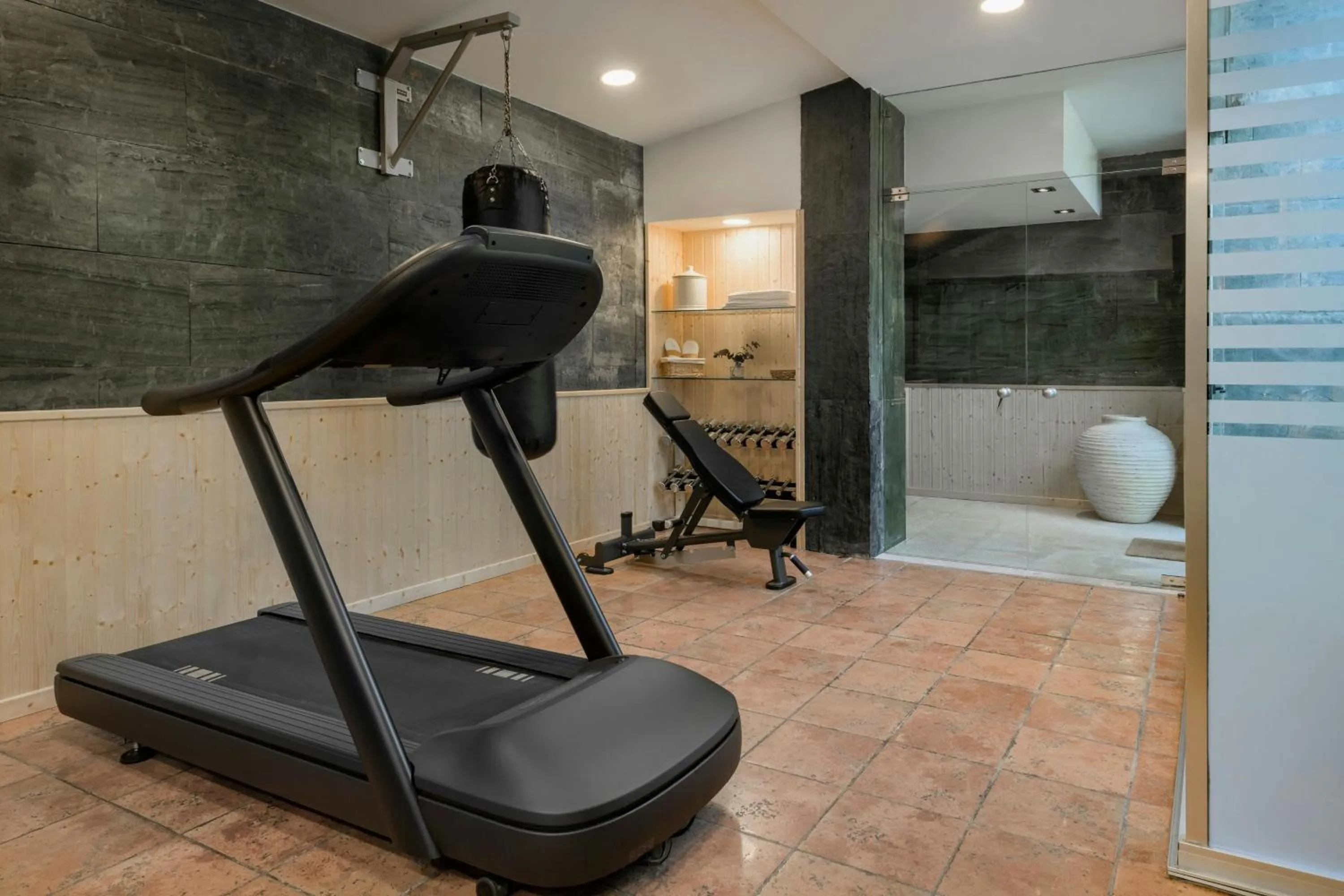 Fitness centre/facilities in Hotel Palacio del Carmen, Autograph Collection