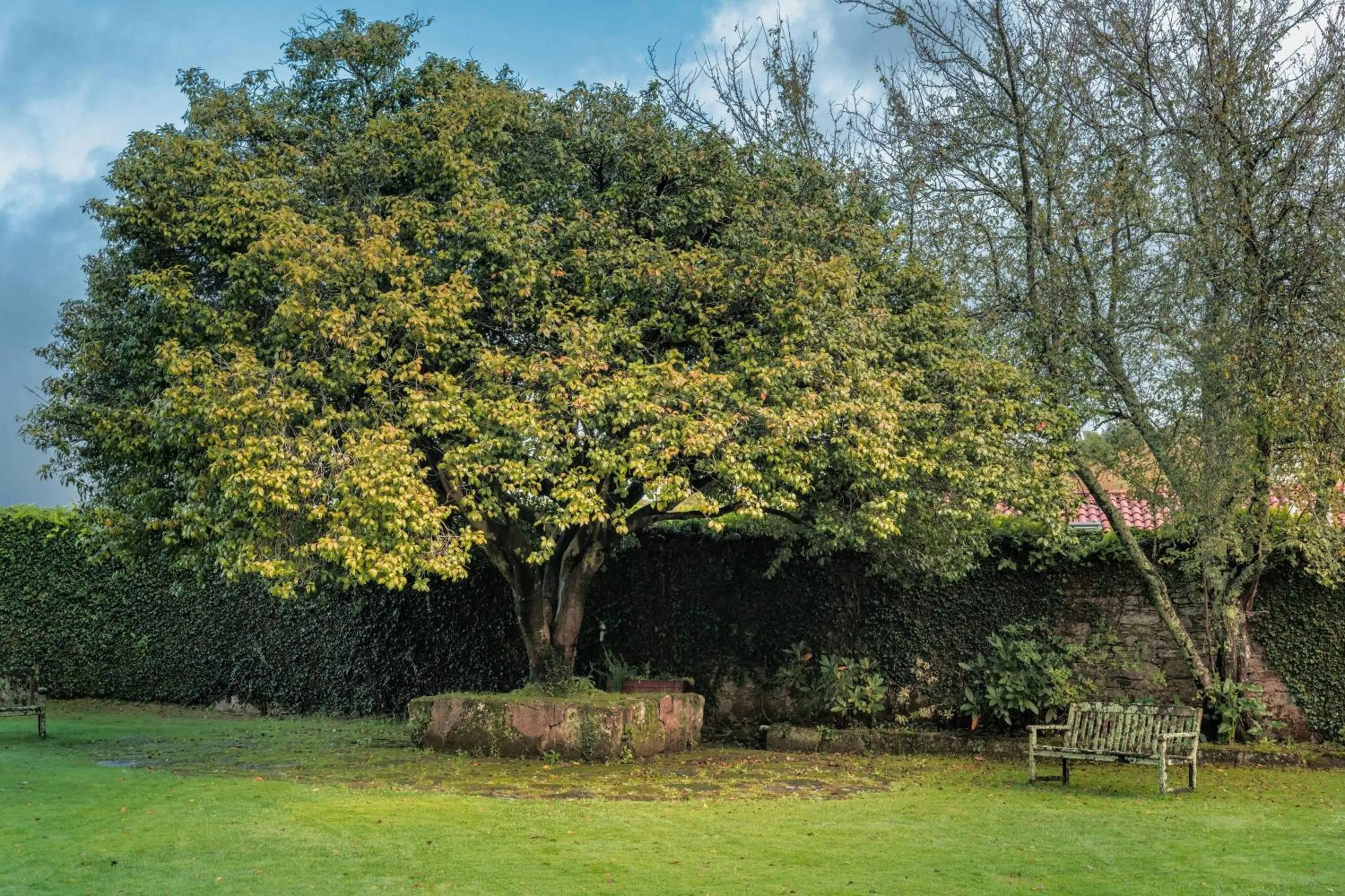 Other in Hotel Palacio del Carmen, Autograph Collection