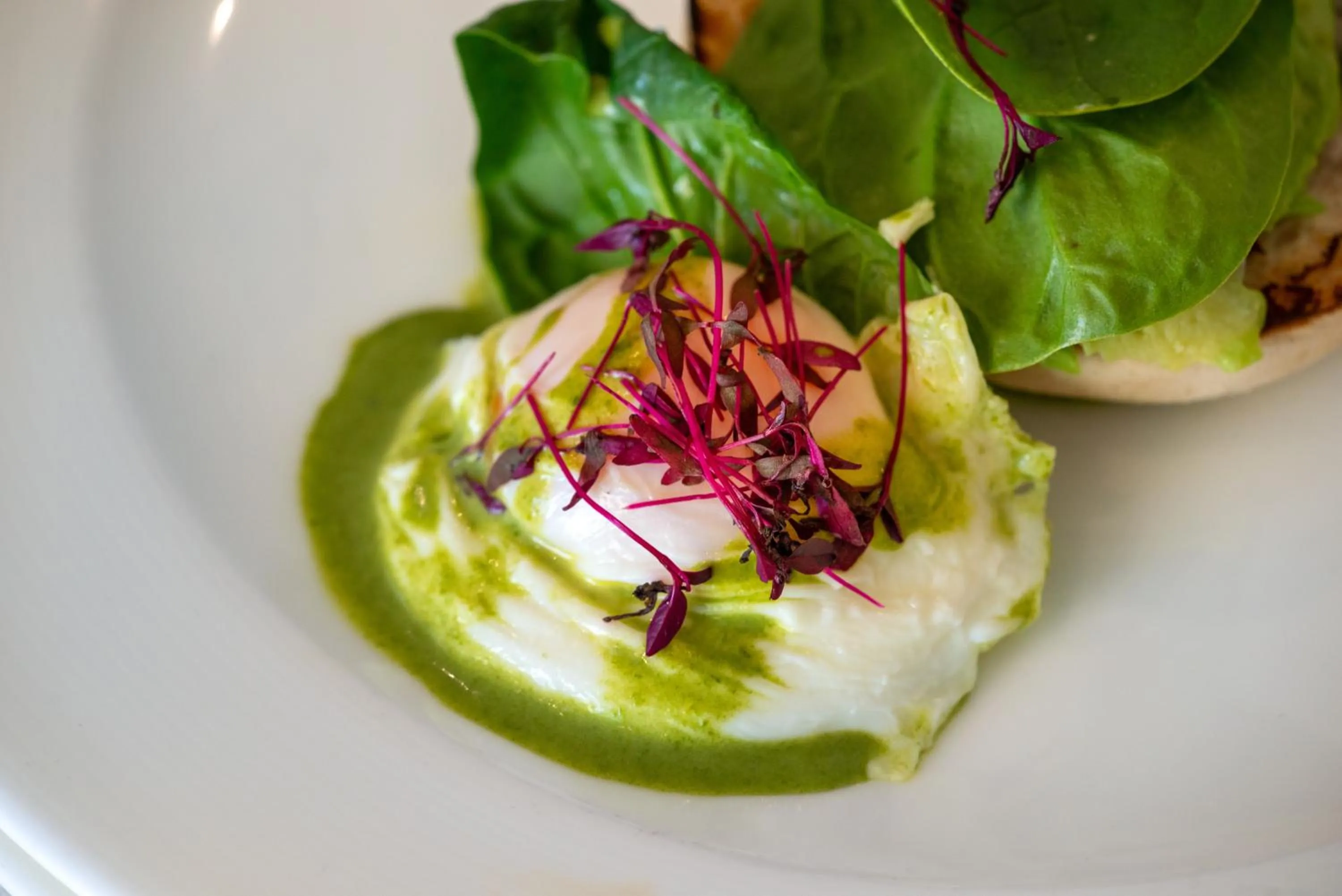 Restaurant/places to eat in Nixe Palace