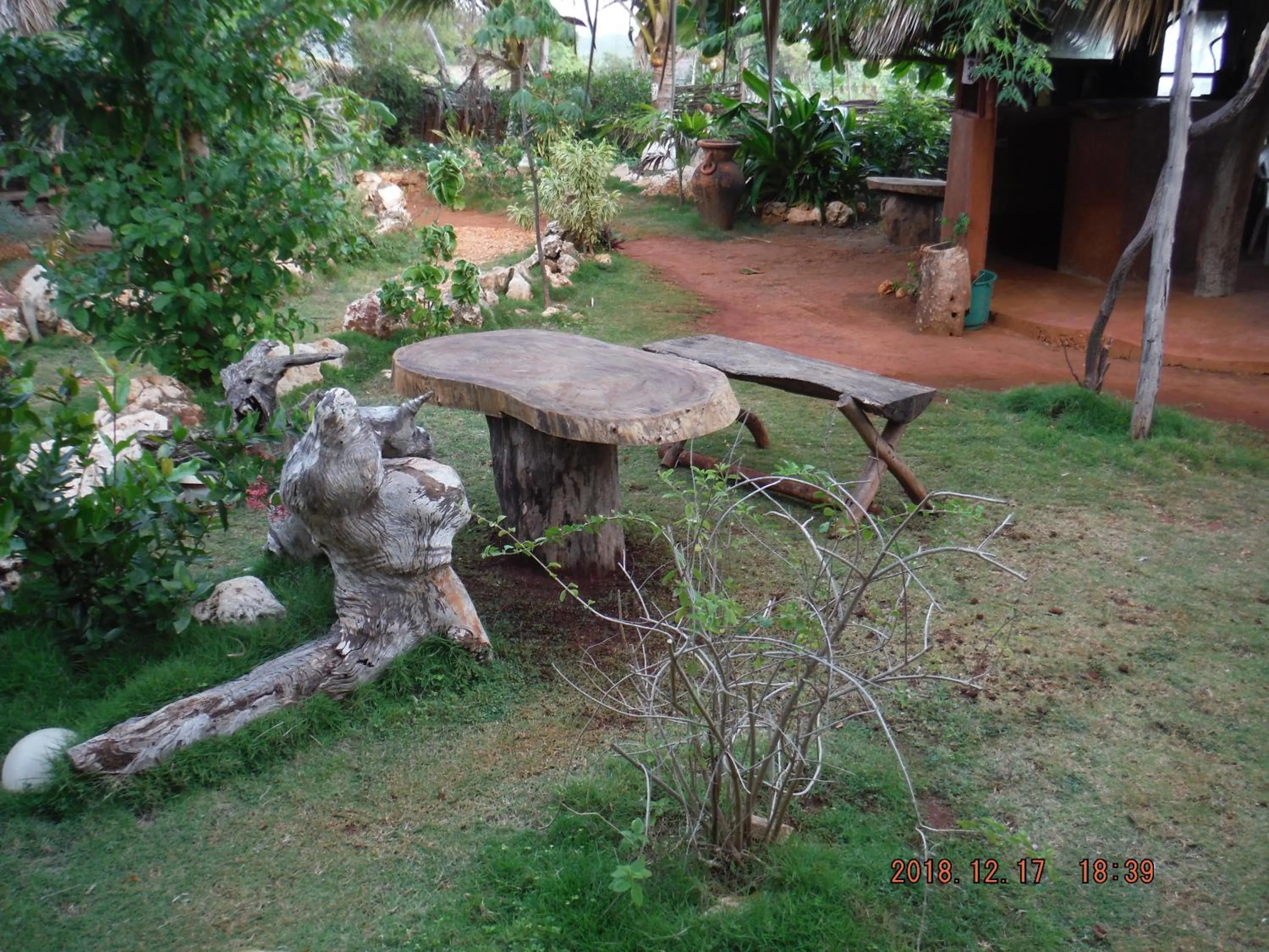 Garden in KuDehya Guesthouse