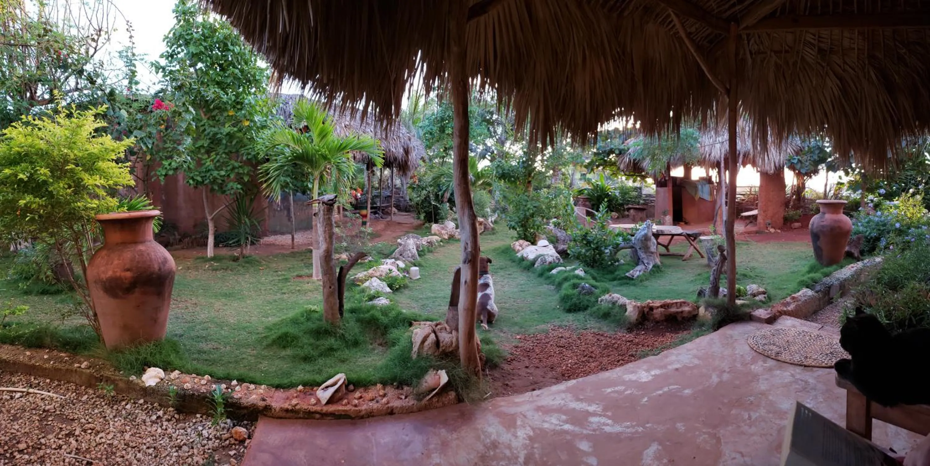 Garden in KuDehya Guesthouse