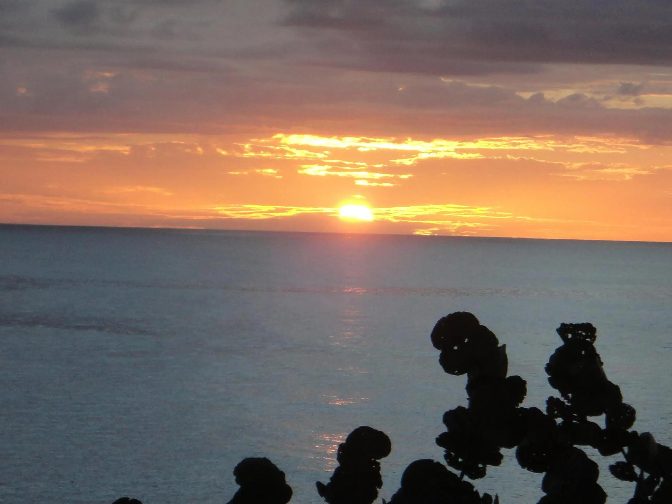 View (from property/room) in KuDehya Guesthouse