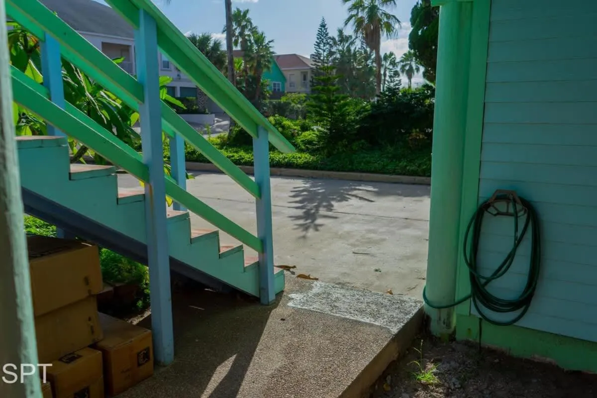 Property building in Caribbean Vibes House