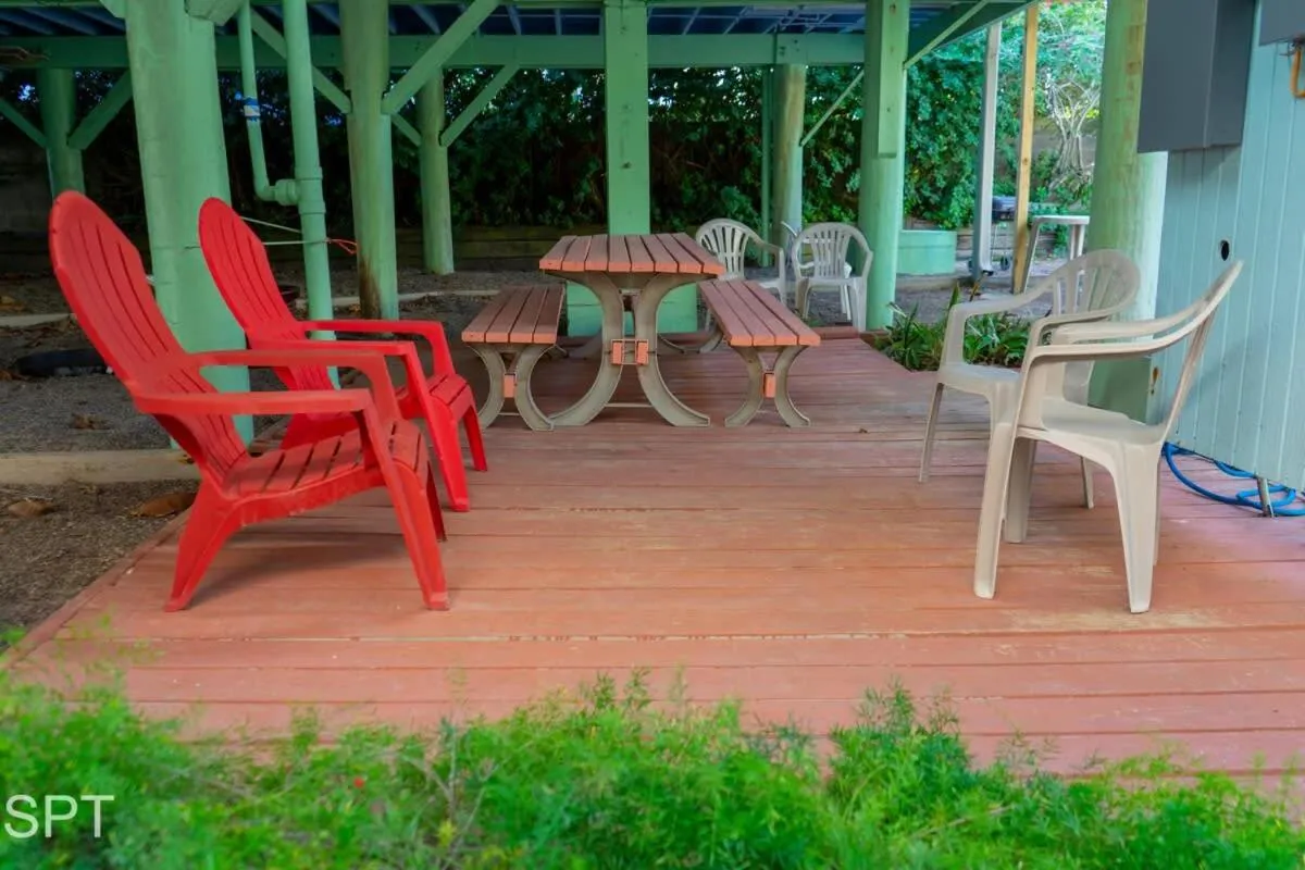 Other in Caribbean Vibes House