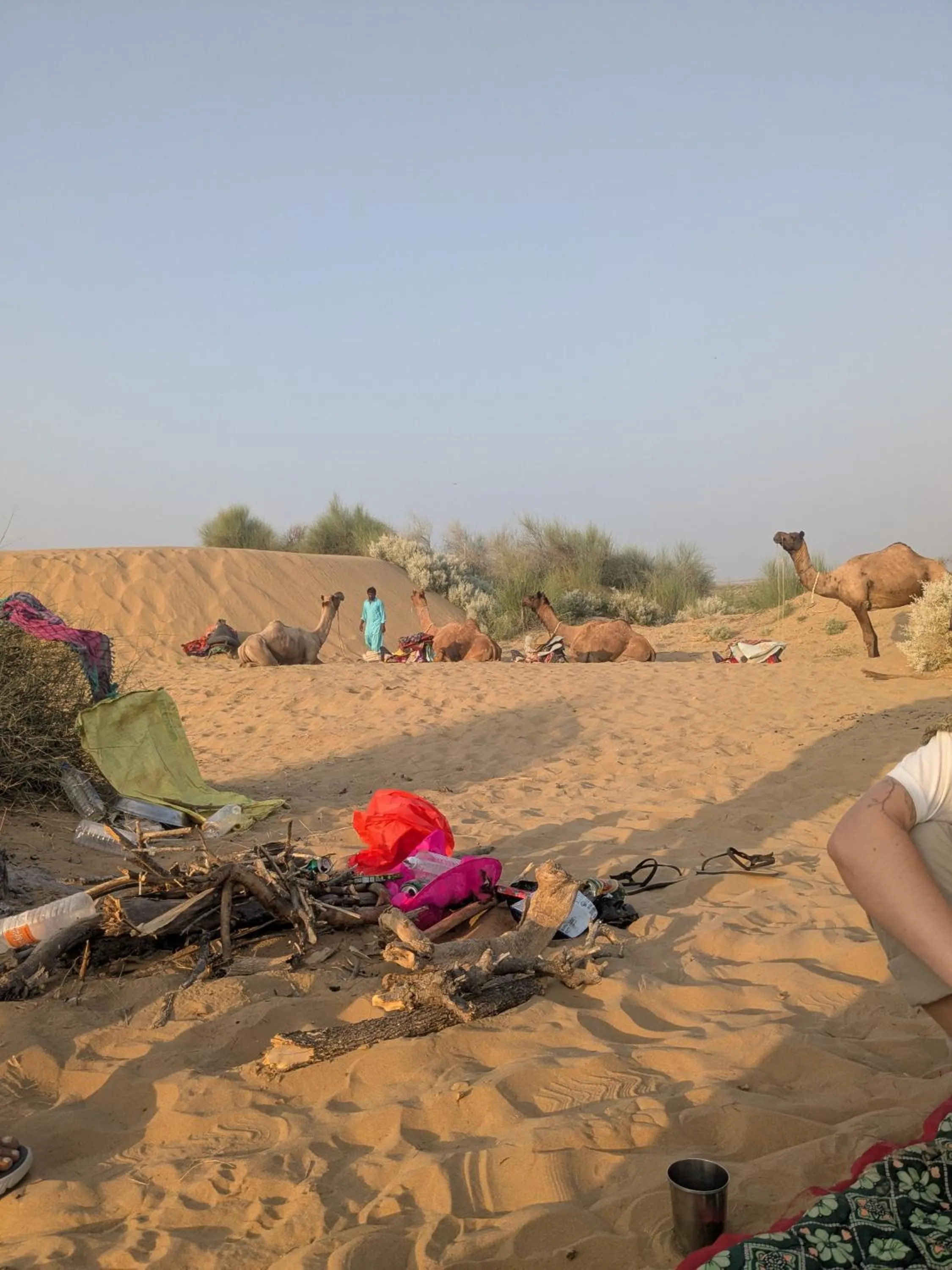 Natural landscape in Relax Inn Jaisalmer