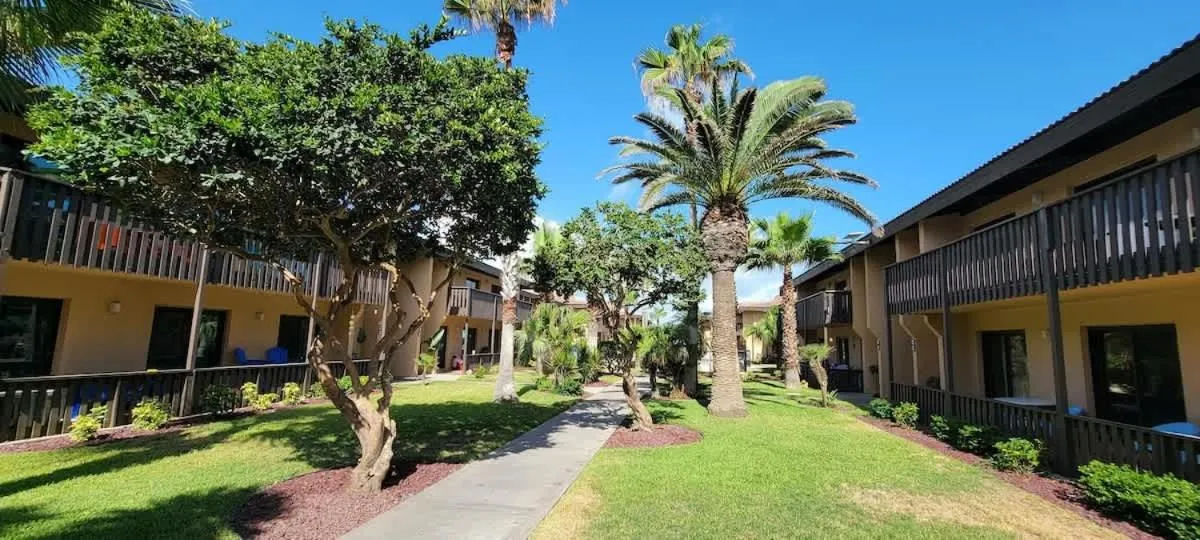 Property building in Tiki Condo 261