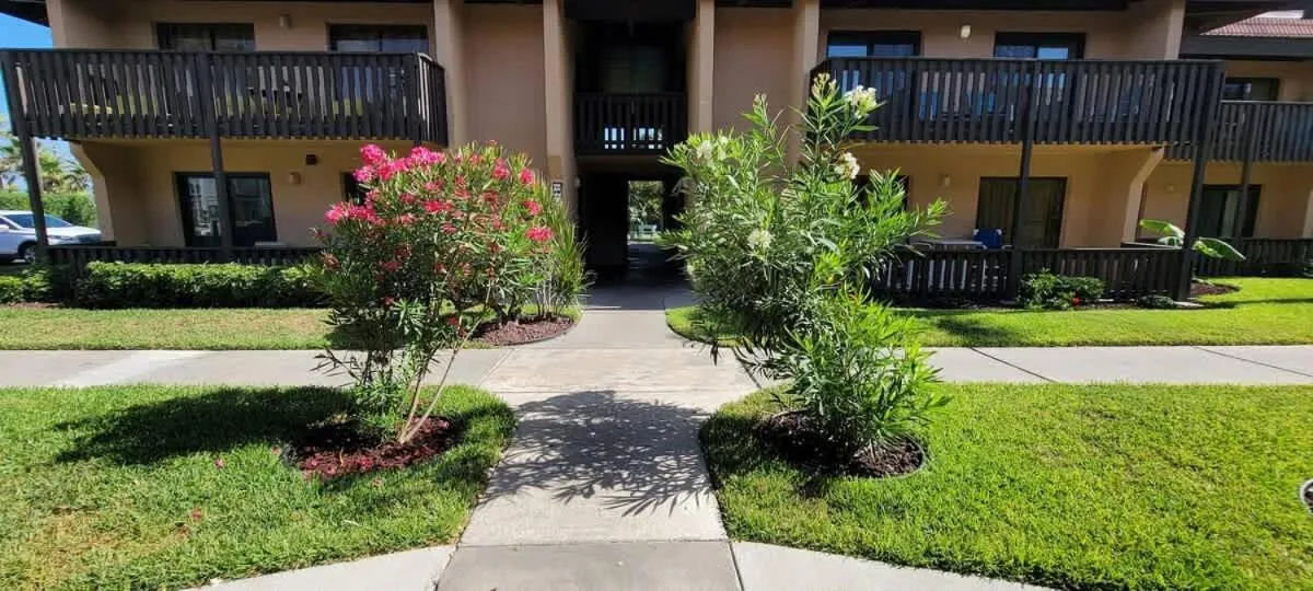 Property building in Tiki Condo 261