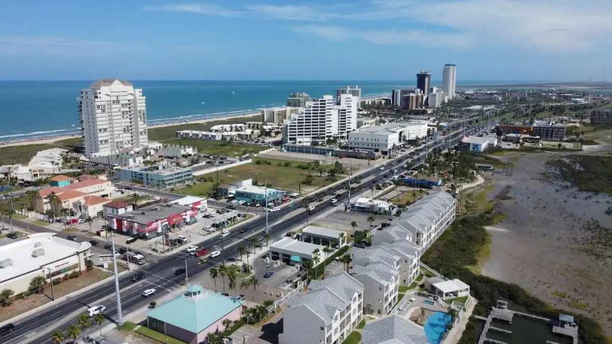 Other in Tortuga Bay