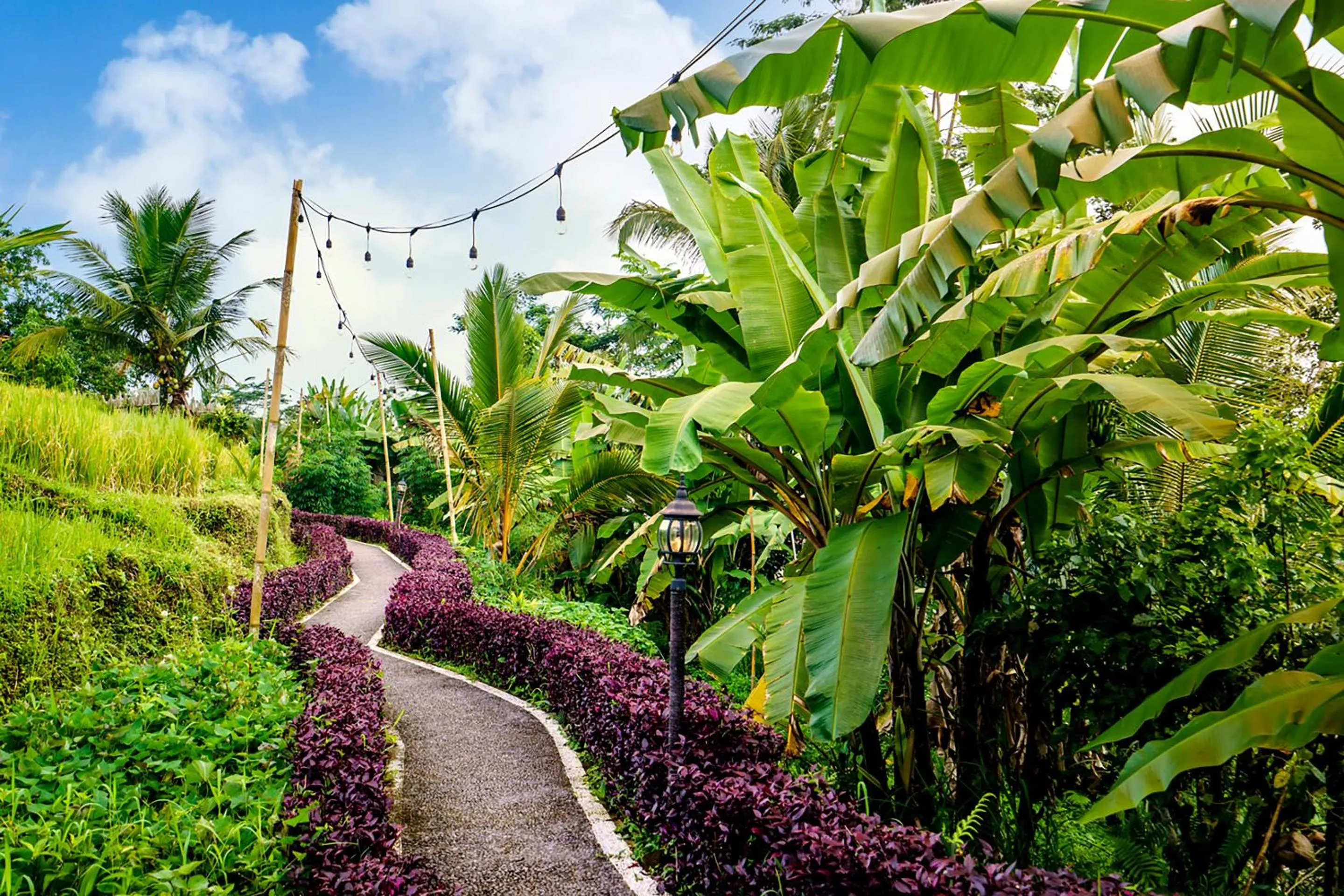 Natural landscape in Bubble Hotel Bali Ubud - Adults Only - New Year's Offer